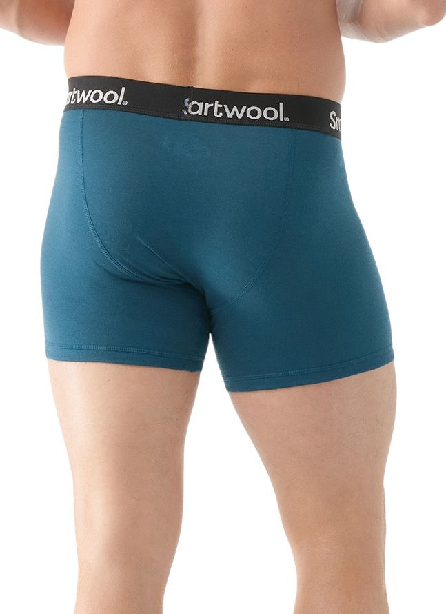 Smartwool Men's Boxed Boxer Brief product image