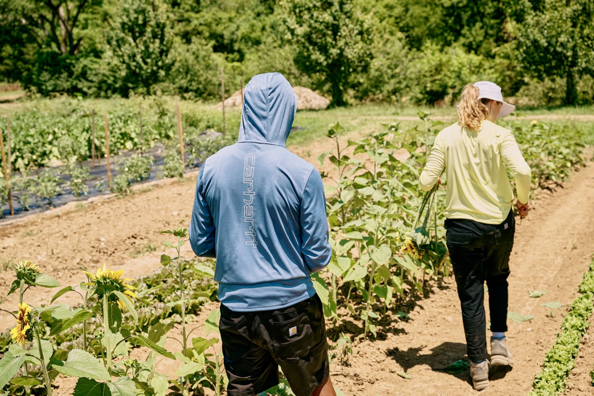 Carhartt Men's Force Sun Defender Hoodie product image