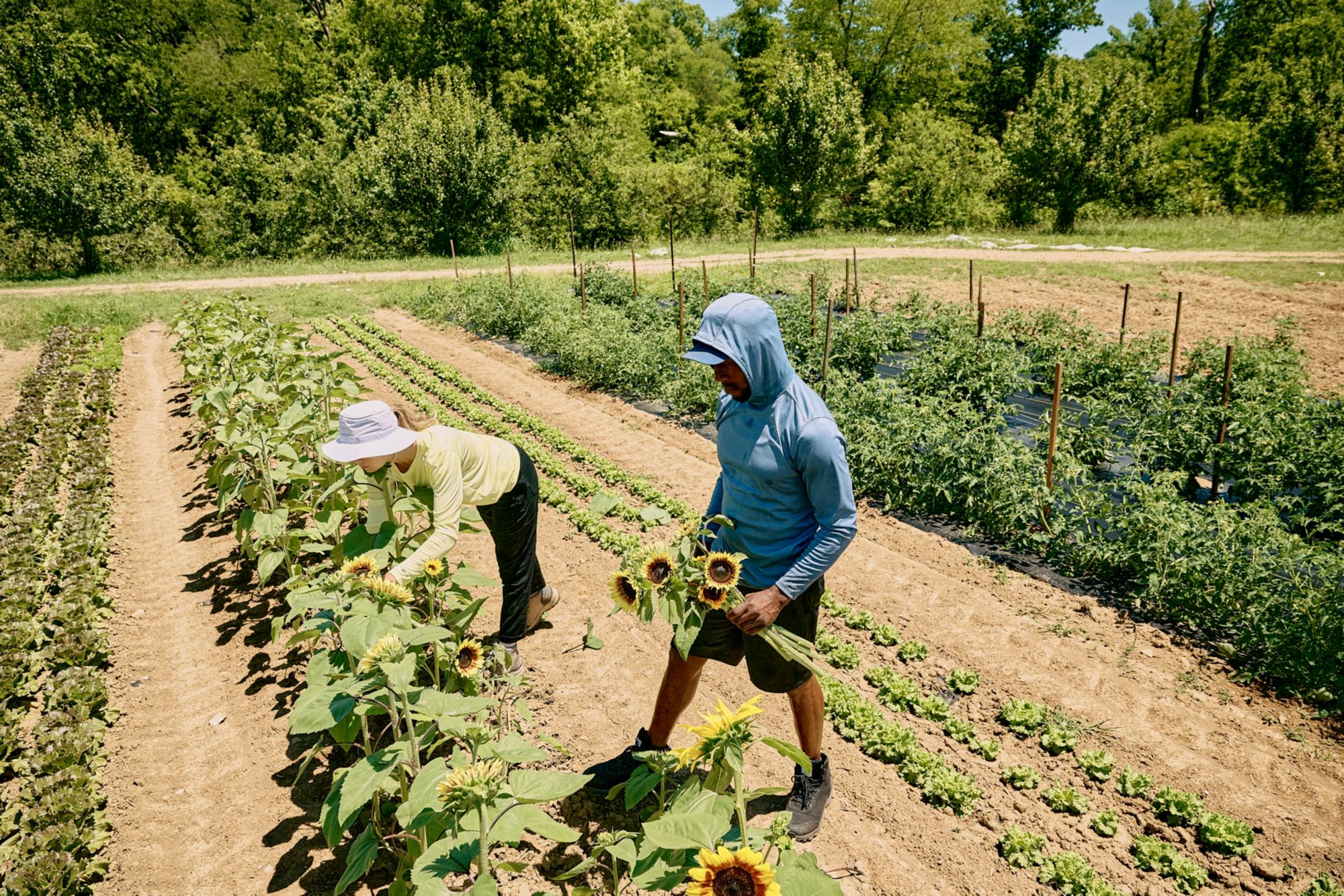 Carhartt Men's Force Sun Defender Hoodie product image