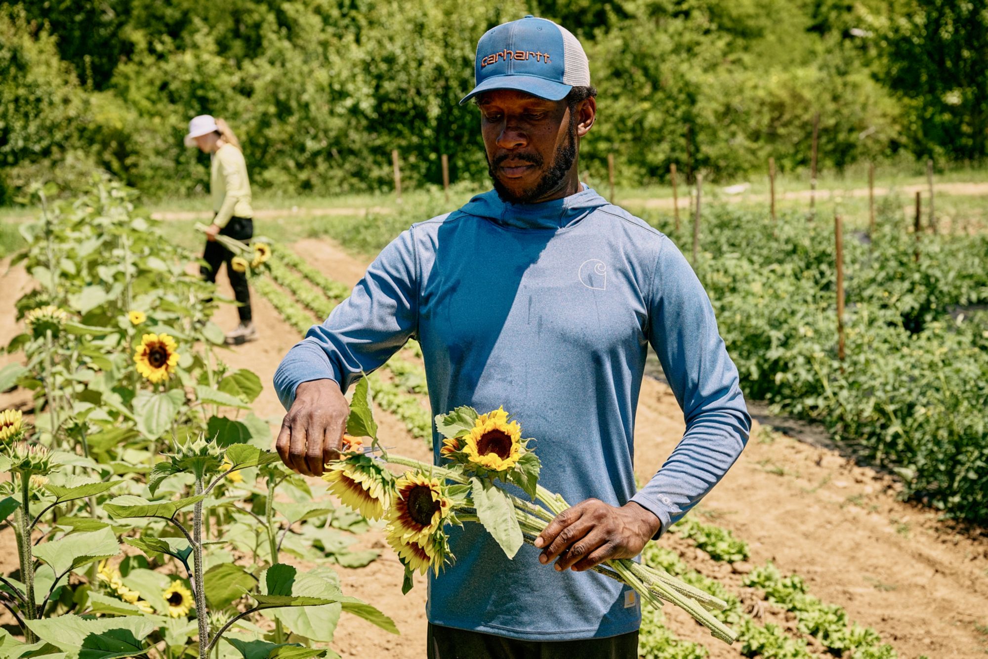 Carhartt Men's Force Sun Defender Hoodie product image