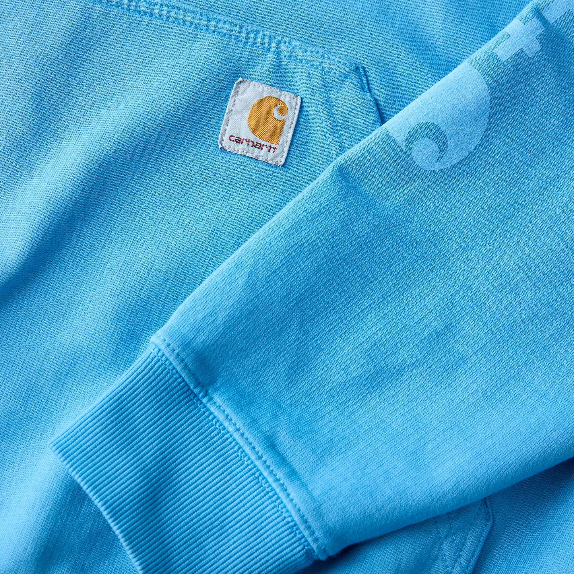 Carhartt Men's Garment Dye Hoodie product image