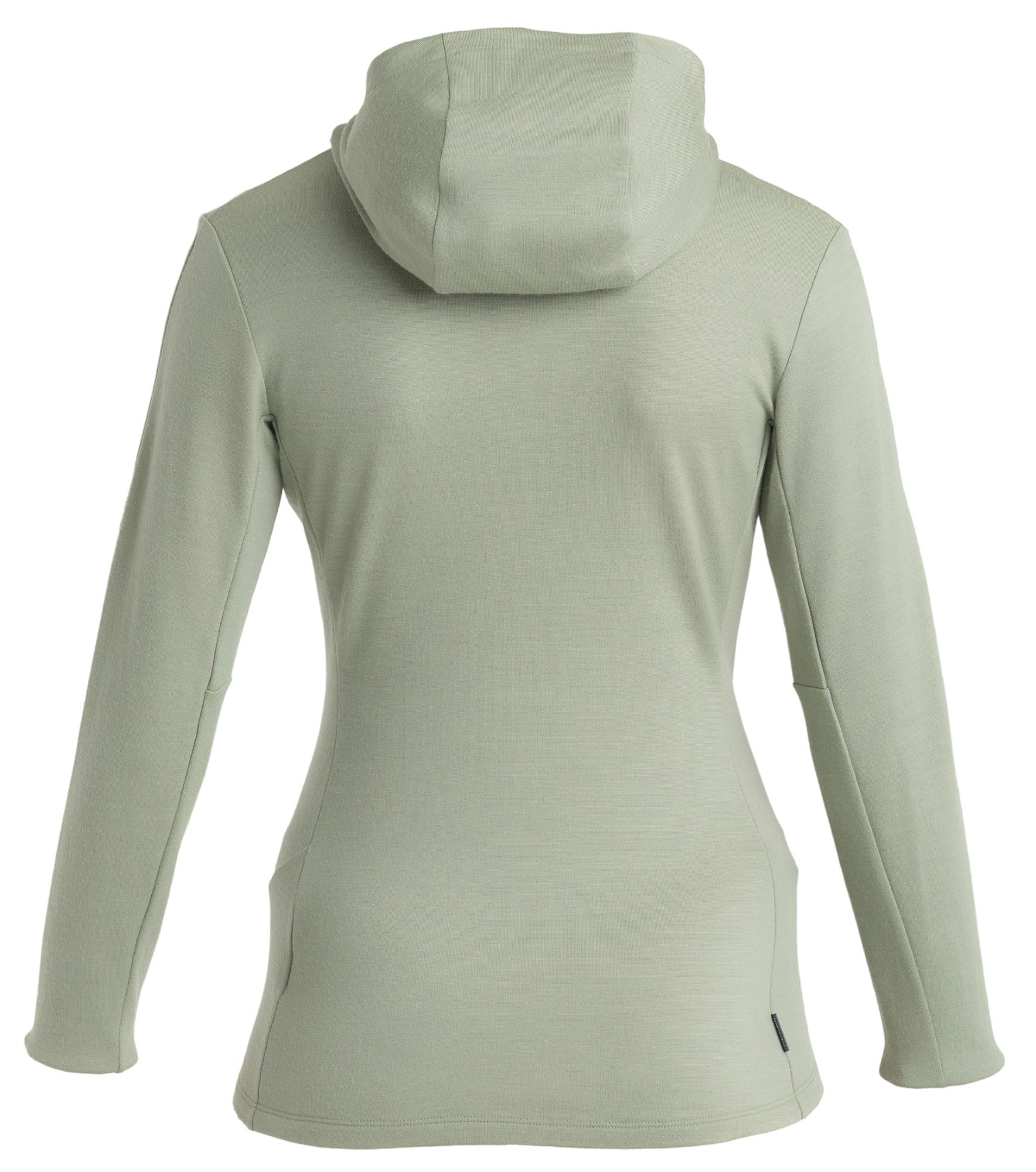 icebreaker Women's Merino 260 Quantum IV Long Sleeve Zip Hoodie product image