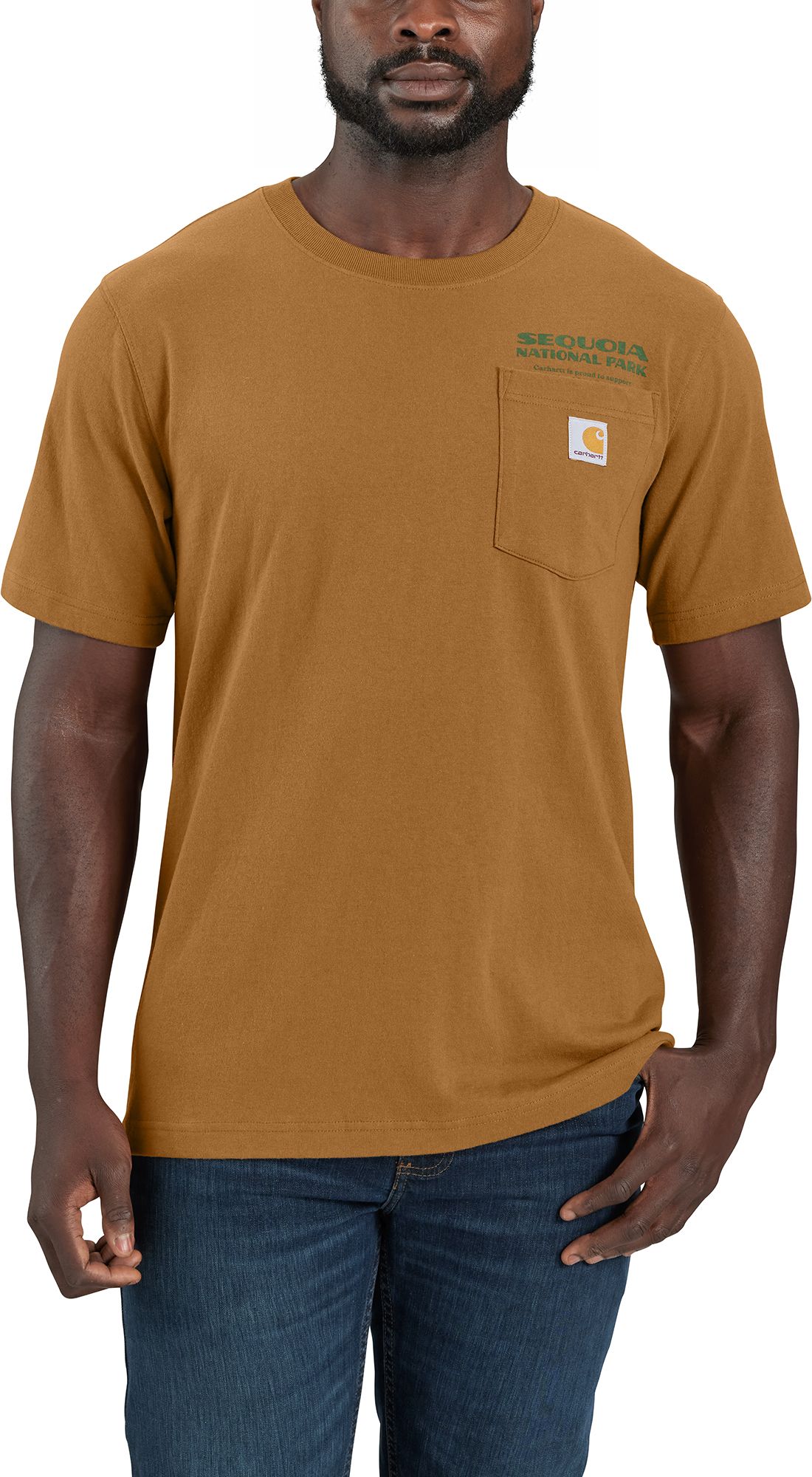 Carhartt Men's Relaxed Fit Heavyweight Sequoia National Park K87 Graphic T Shirt product image