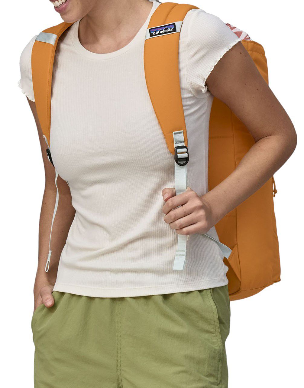 Patagonia Fieldsmith Linked 25L Pack product image