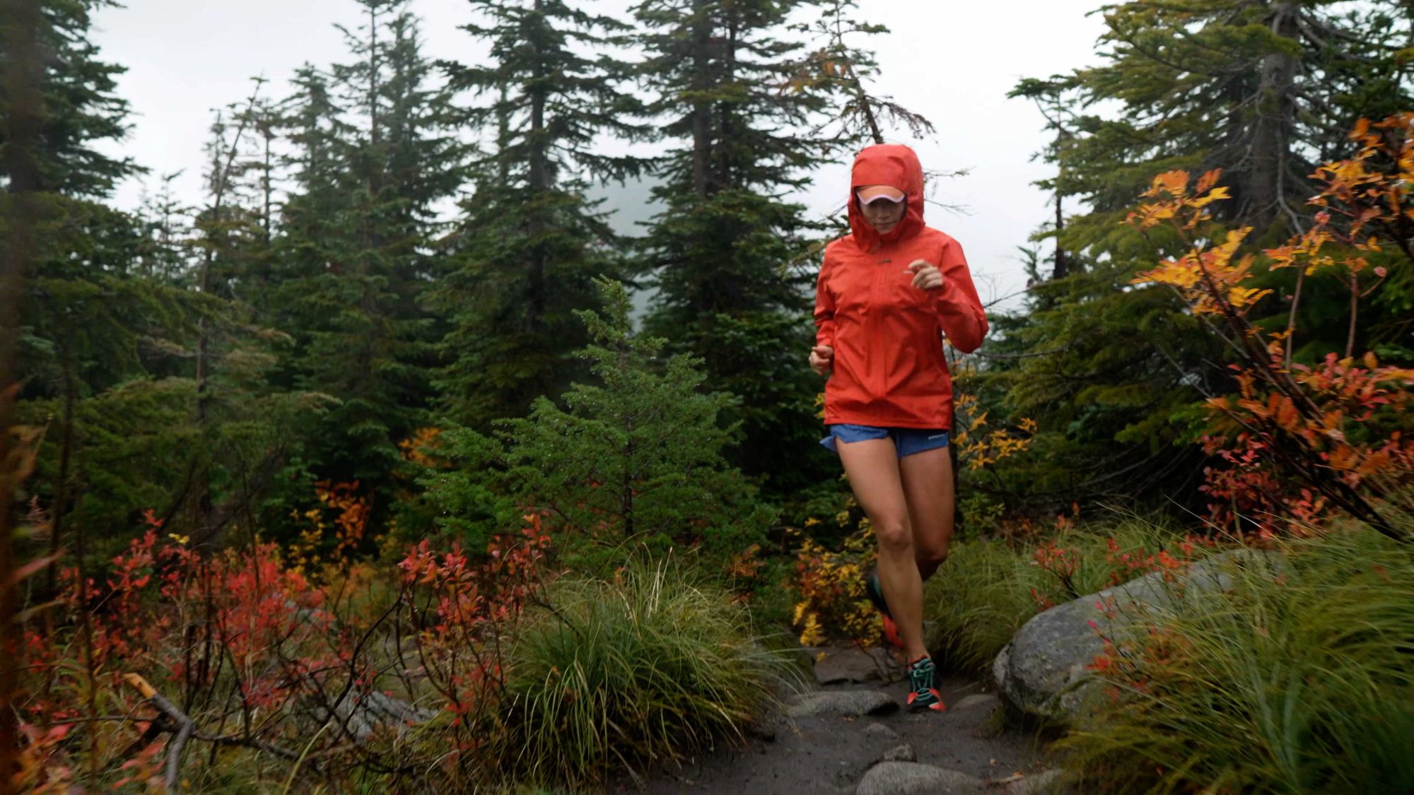 Patagonia Women's Lined Storm Racer Jacket product image