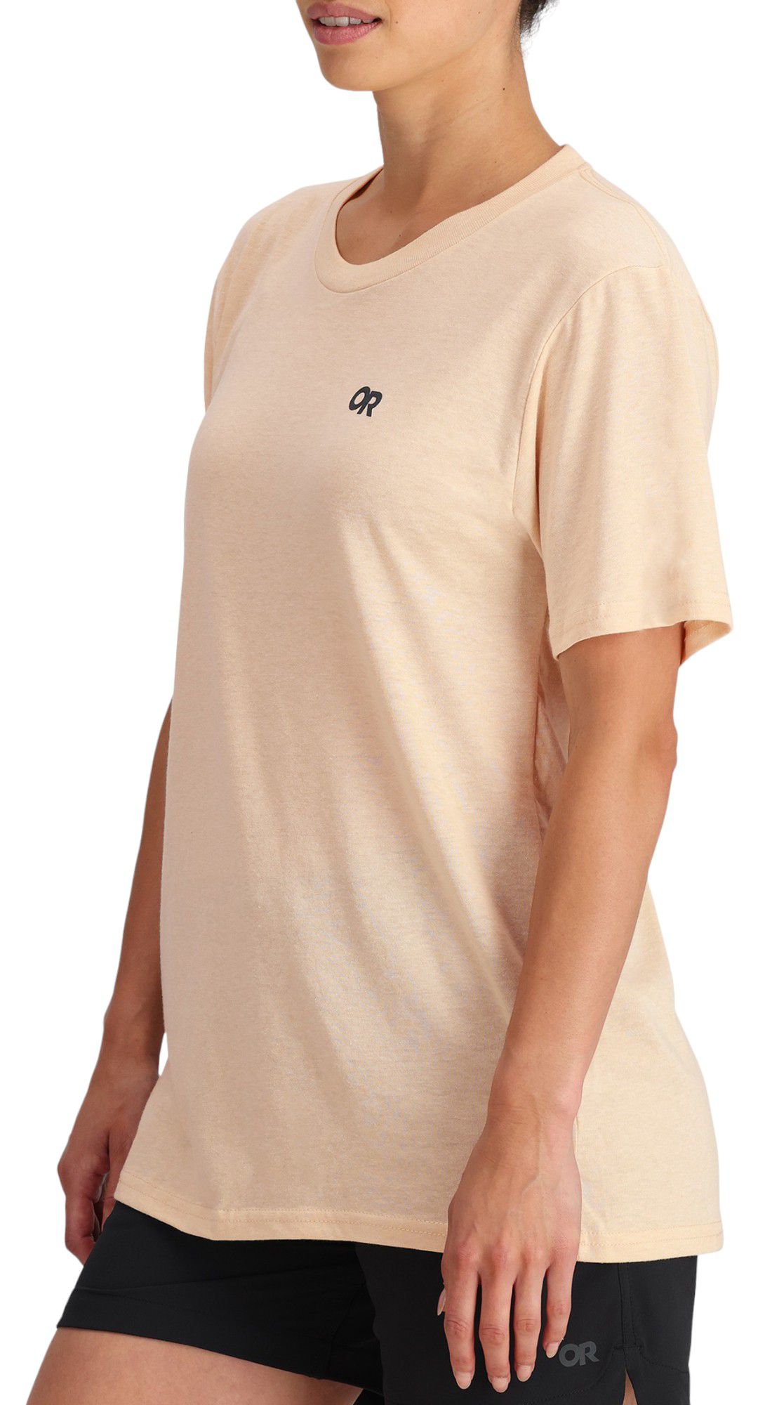 Outdoor Research Men's Spoked Logo T-Shirt product image