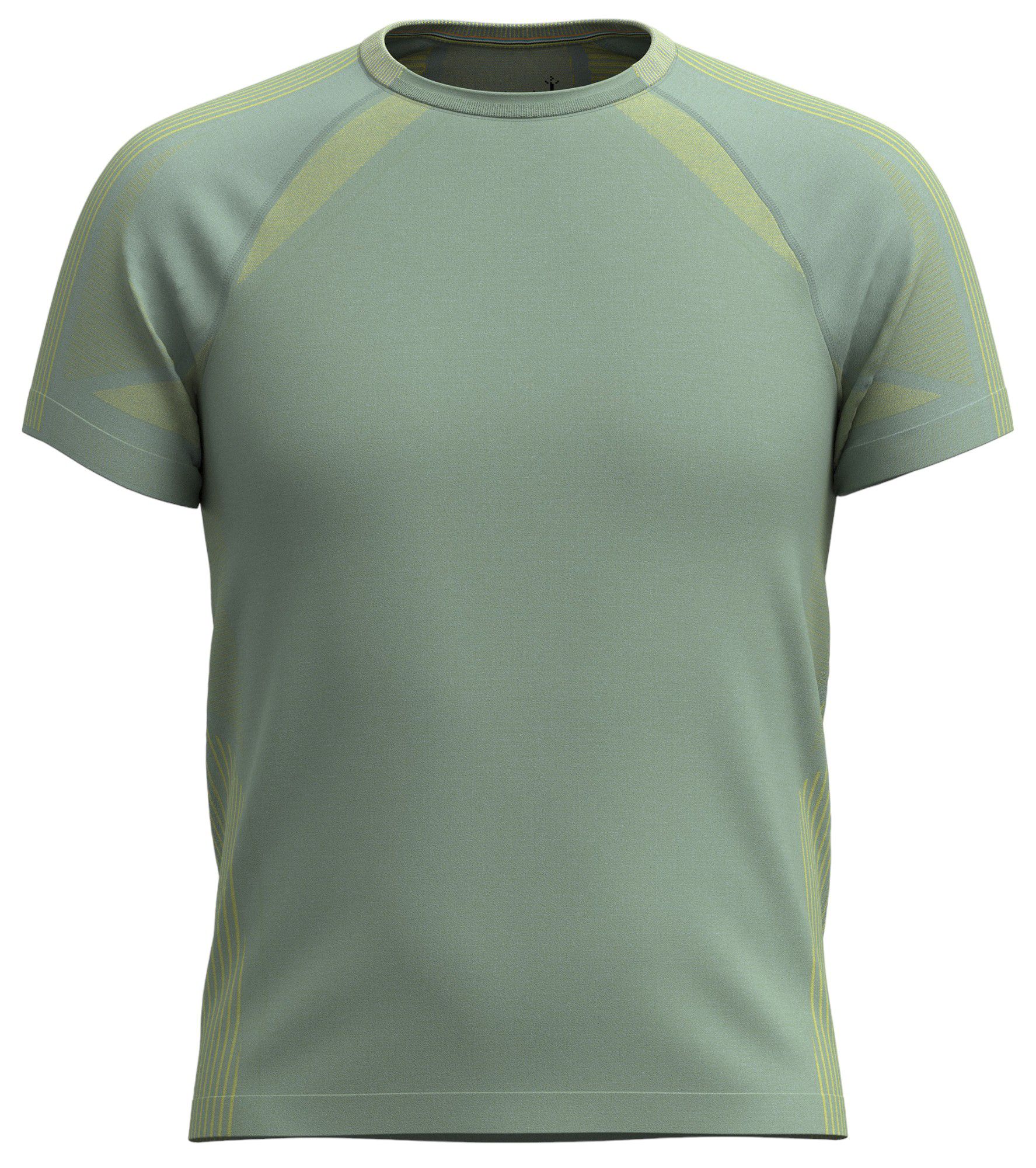 SmartWool Men's Intraknit Active Seamless Short Sleeve T-Shirt product image