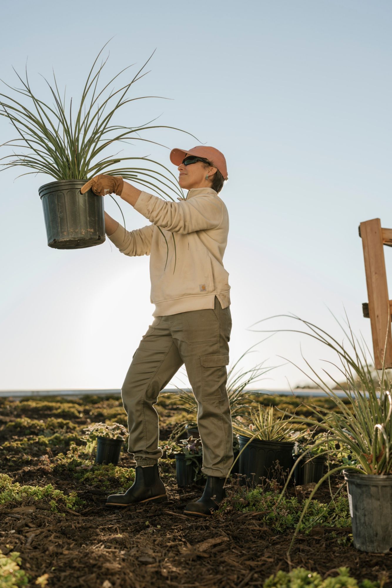 Carhartt Women's Tencel Quarter Zip product image