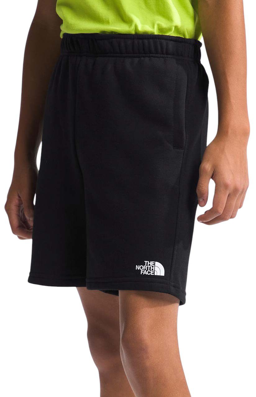 The North Face Boys' Camp Fleece 6” Shorts product image