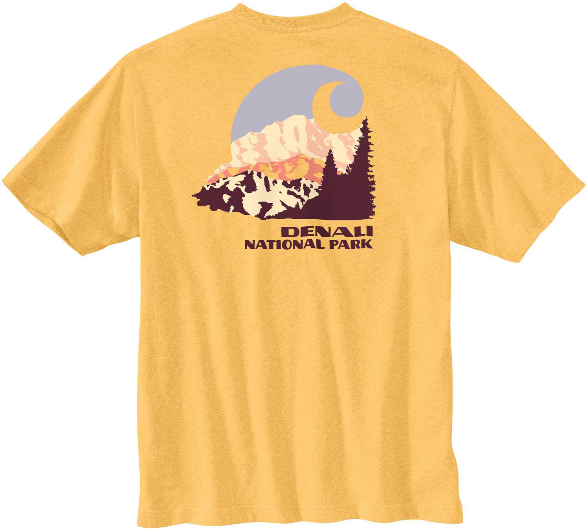 Carhartt Men's Relaxed Fit Heavyweight Denali National Park K87 Graphic T Shirt product image