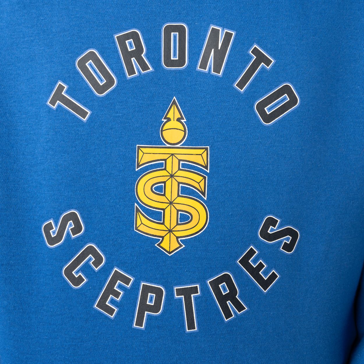 Bauer Youth PWHL Toronto Blue Ultimate Hoodie product image