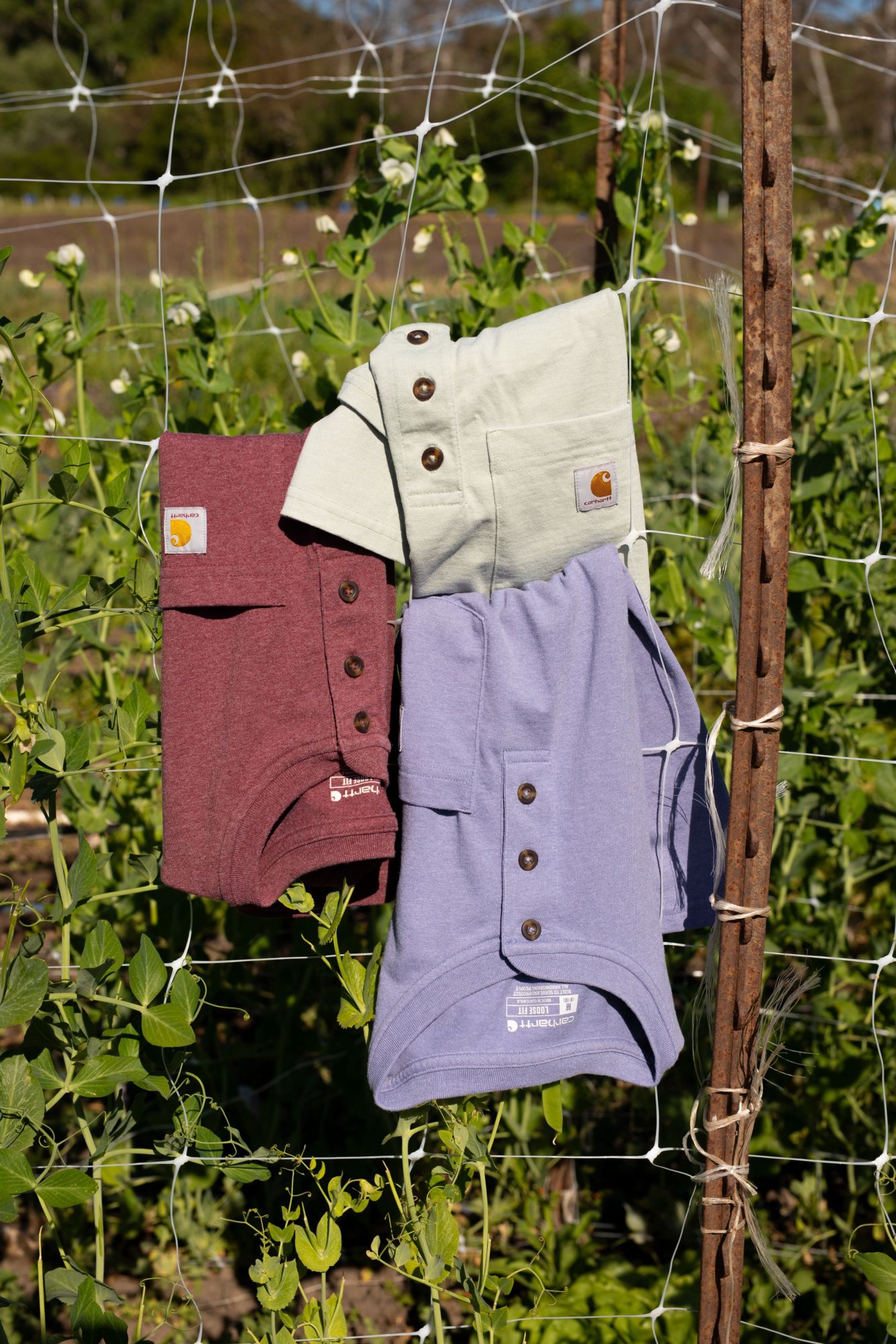 Carhartt Women's Loose Fit Heavyweight Henley Short Sleeve Tee product image