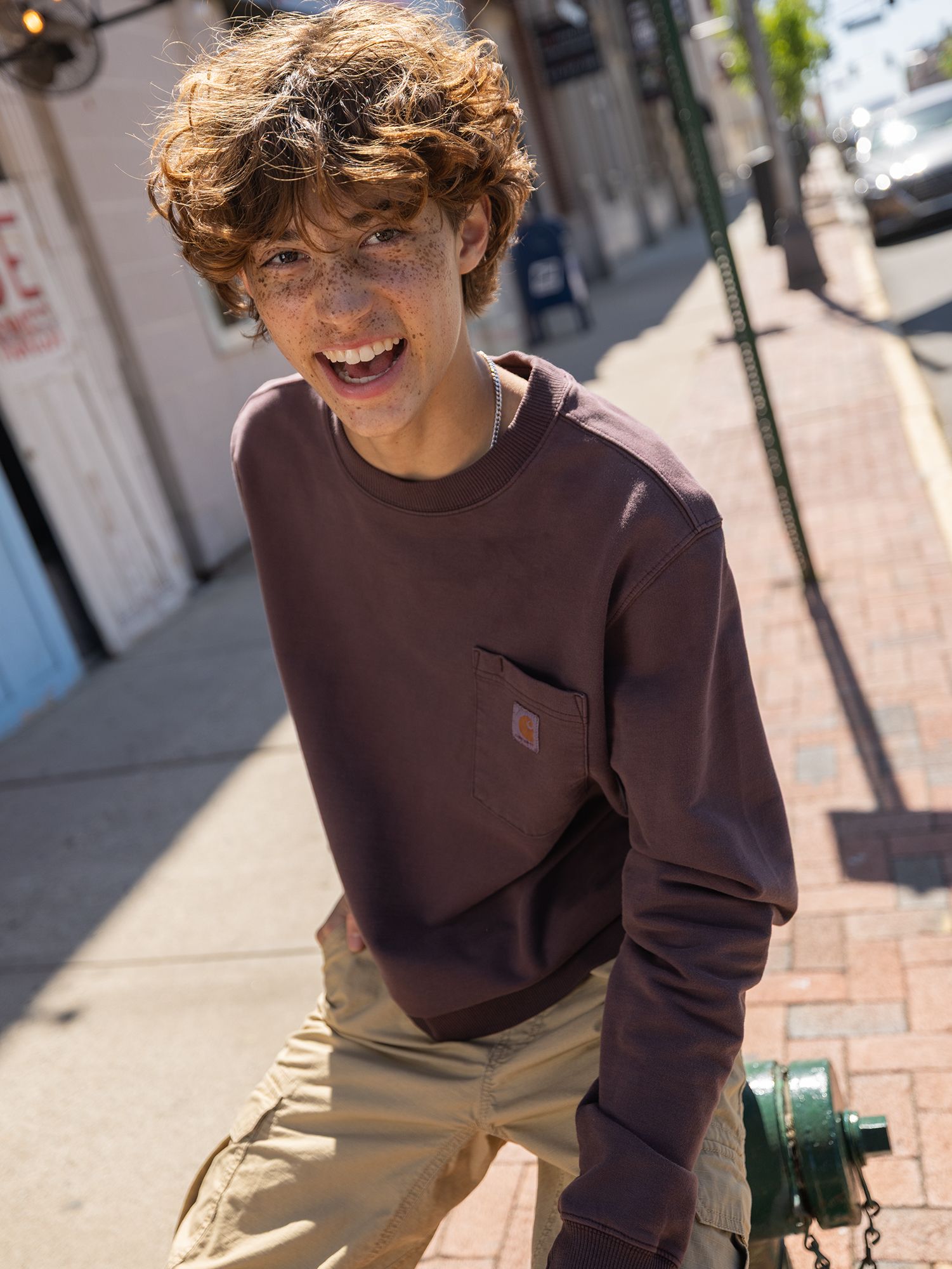 Carhartt Men's Garment Dye Crew Sweatshirt product image