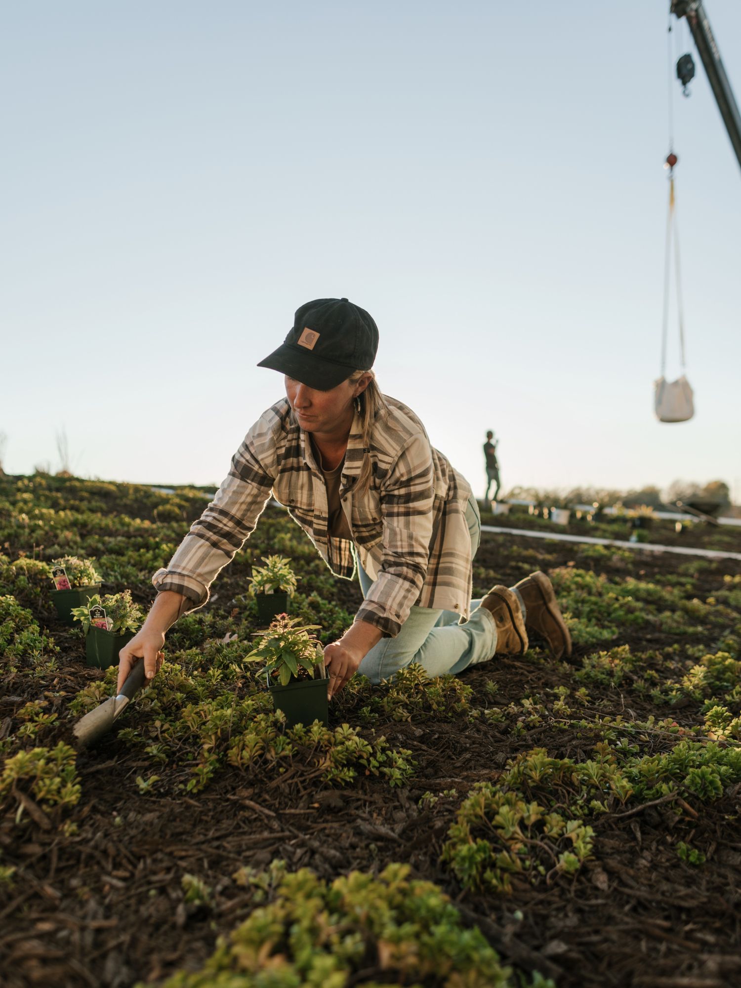 Carhartt Women's Tencel Plaid Shirt product image
