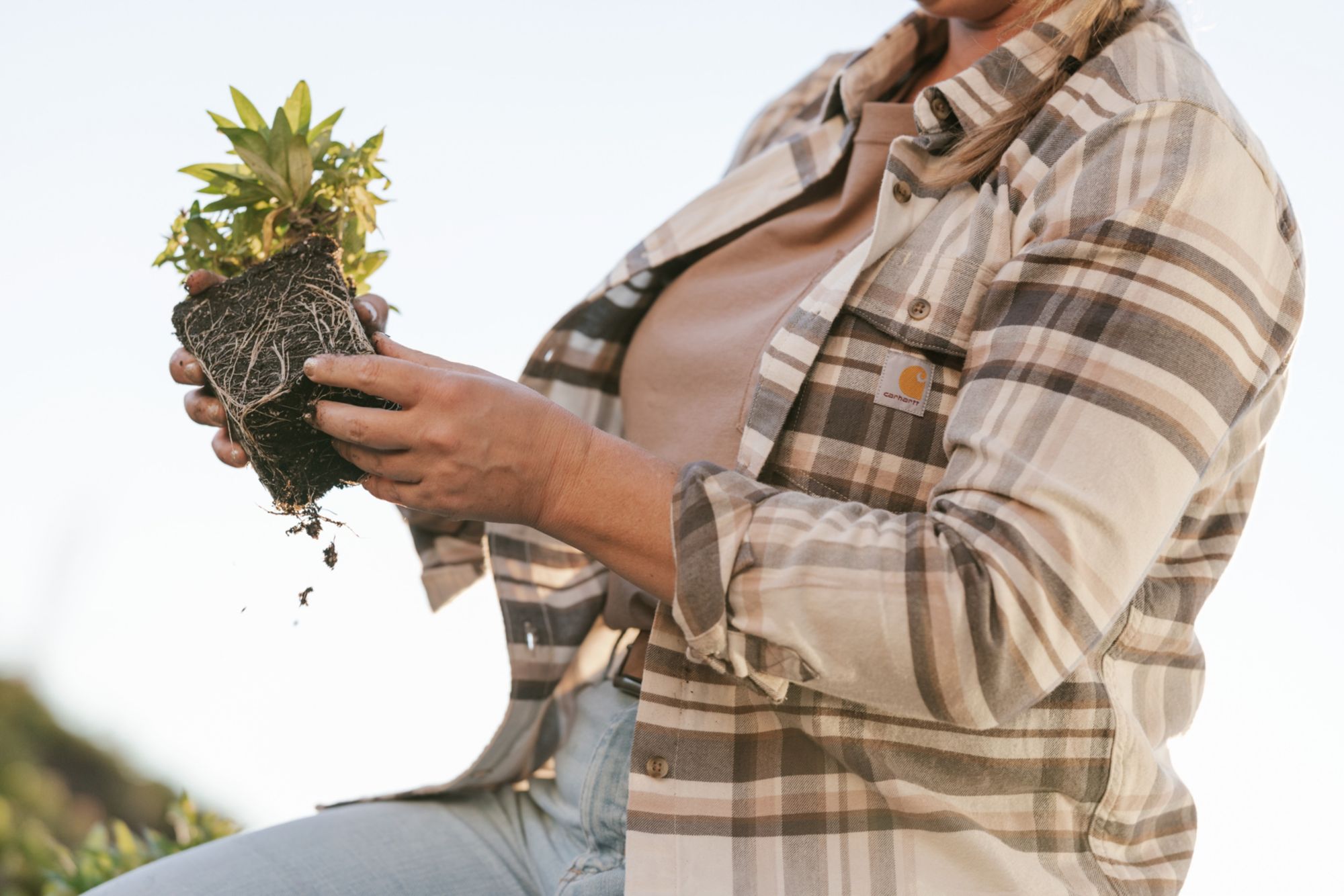 Carhartt Women's Tencel Plaid Shirt product image