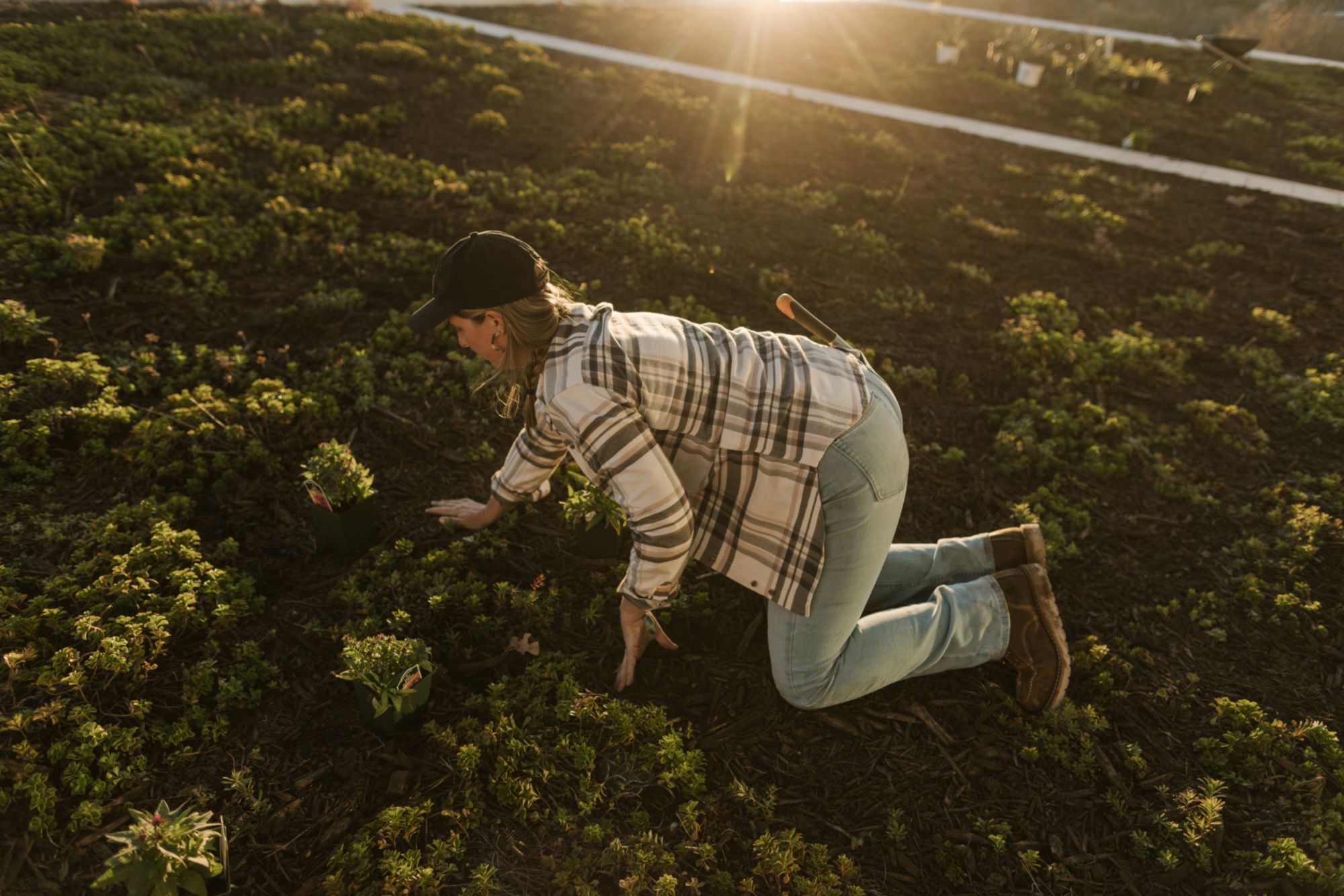 Carhartt Women's Tencel Plaid Shirt product image