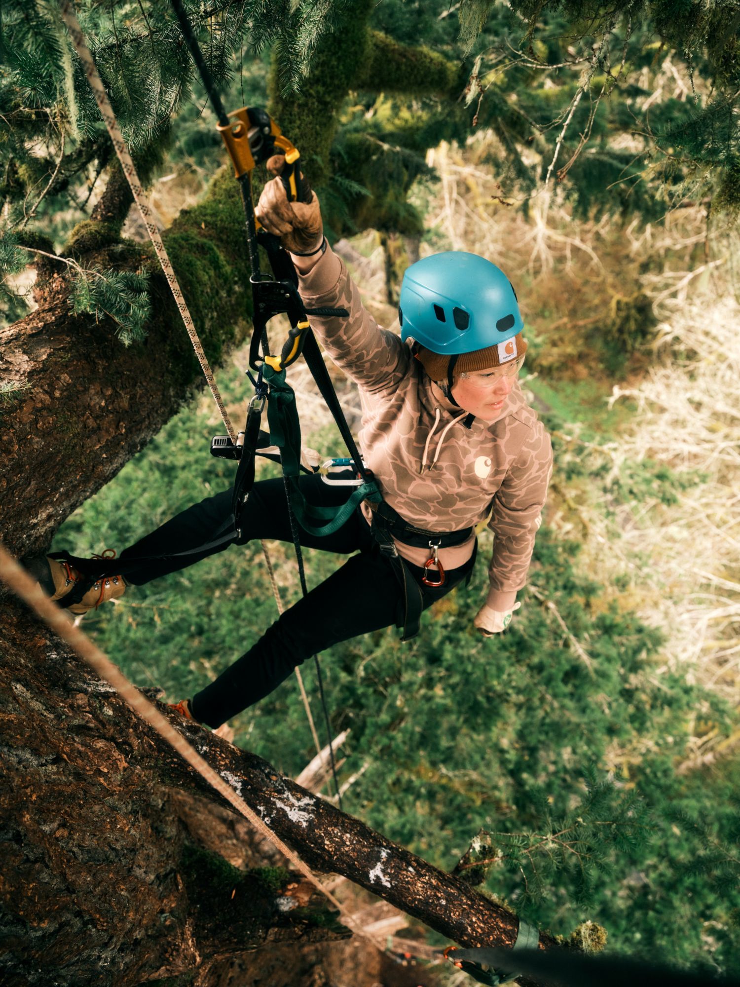 Carhartt Women's Clarksburg Printed Hoodie product image