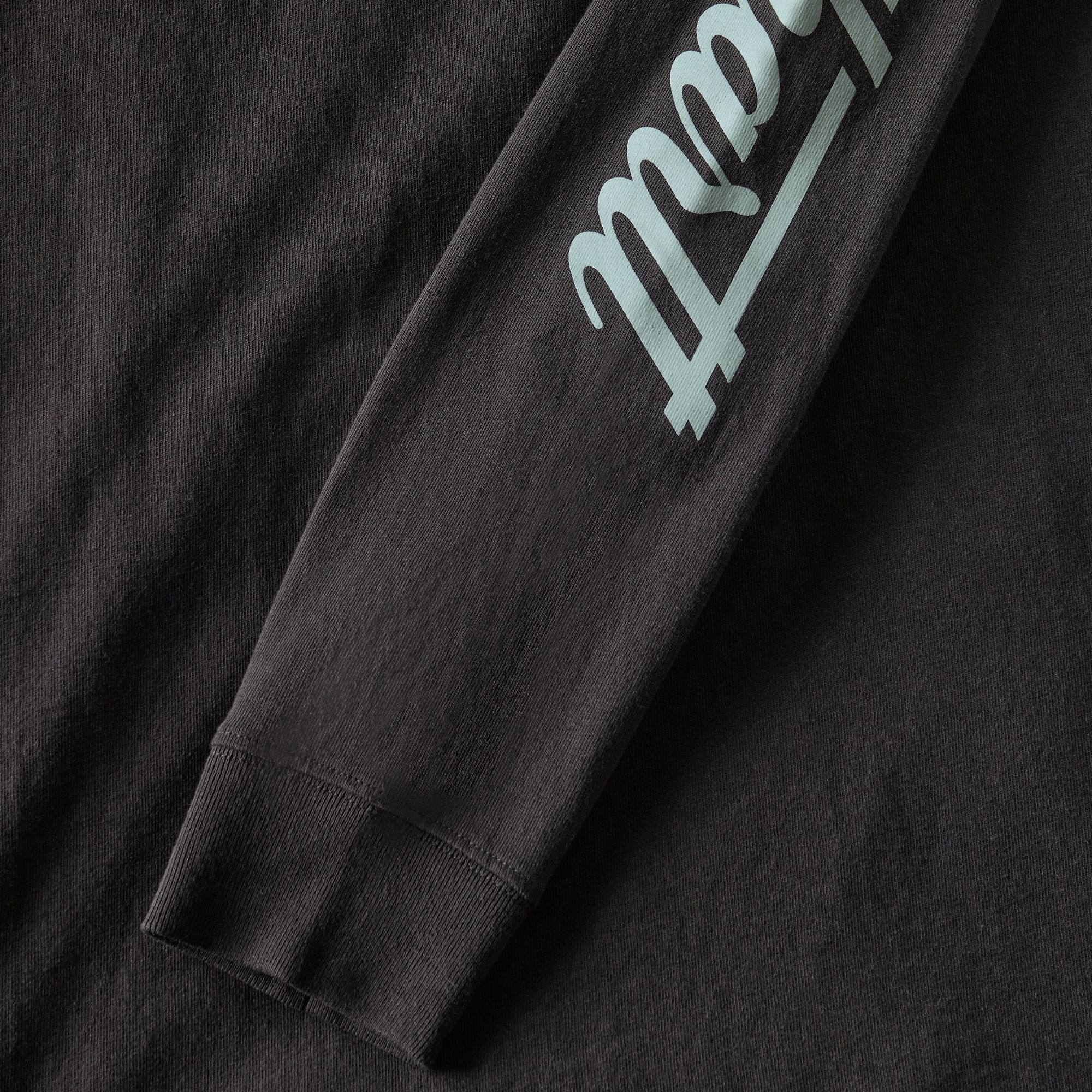 Carhartt Men's St. Patrick's Script Long Sleeve Graphic  T-Shirt product image