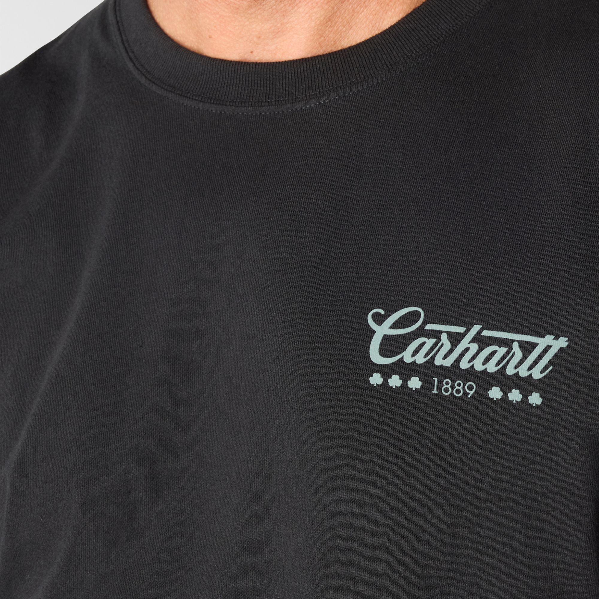 Carhartt Men's St. Patrick's Script Long Sleeve Graphic  T-Shirt product image