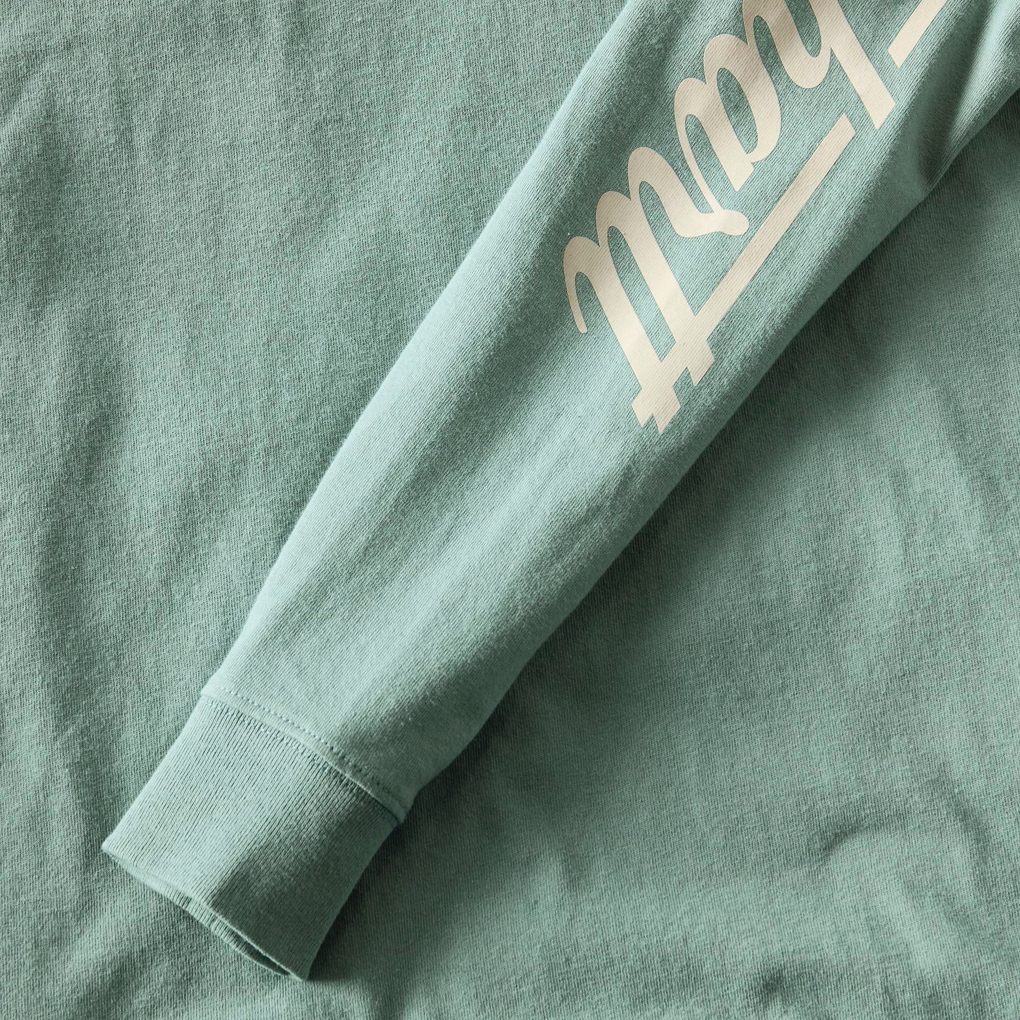 Carhartt Men's St. Patrick's Script Long Sleeve T-Shirt product image