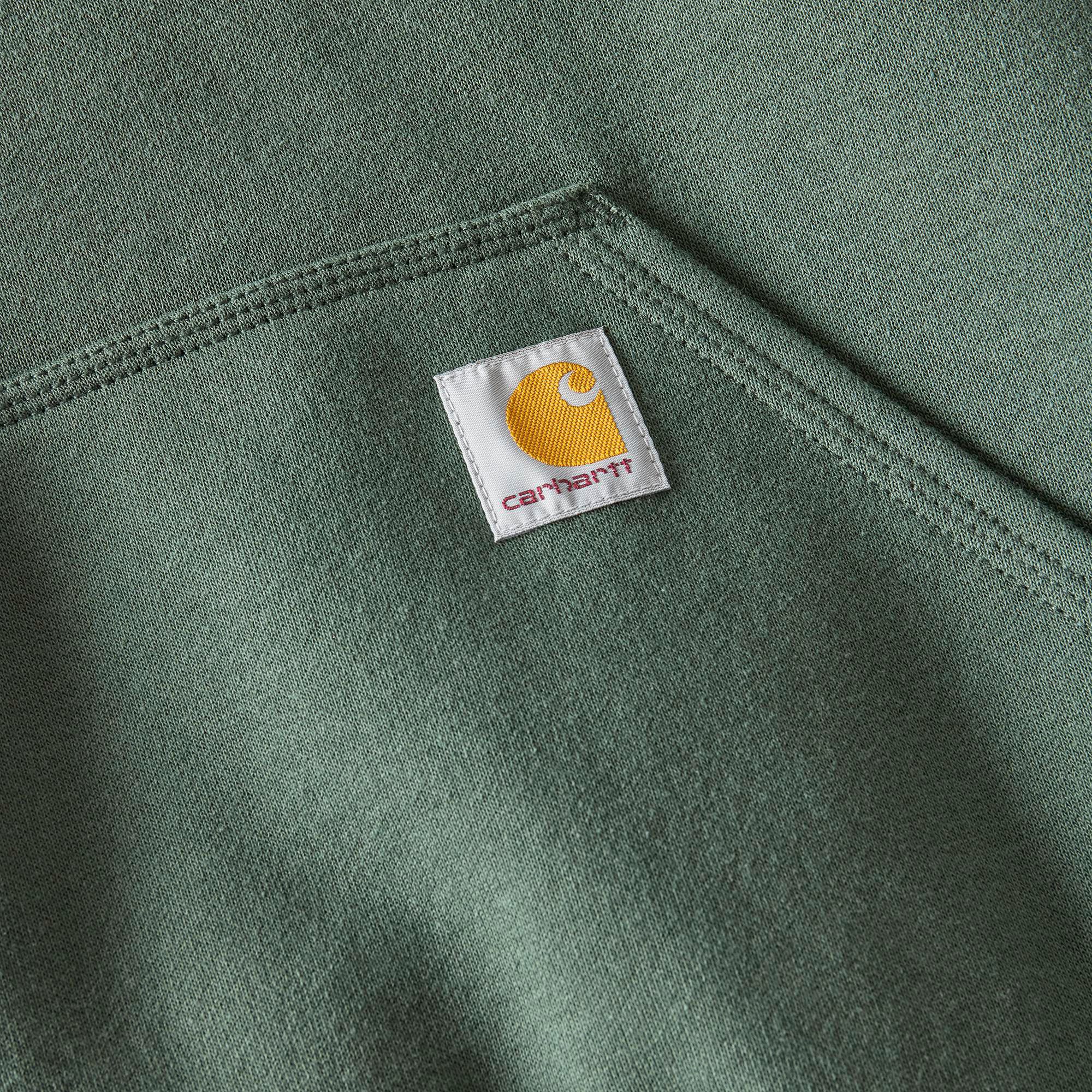 Carhartt Men's St. Patrick's Script Hoodie product image