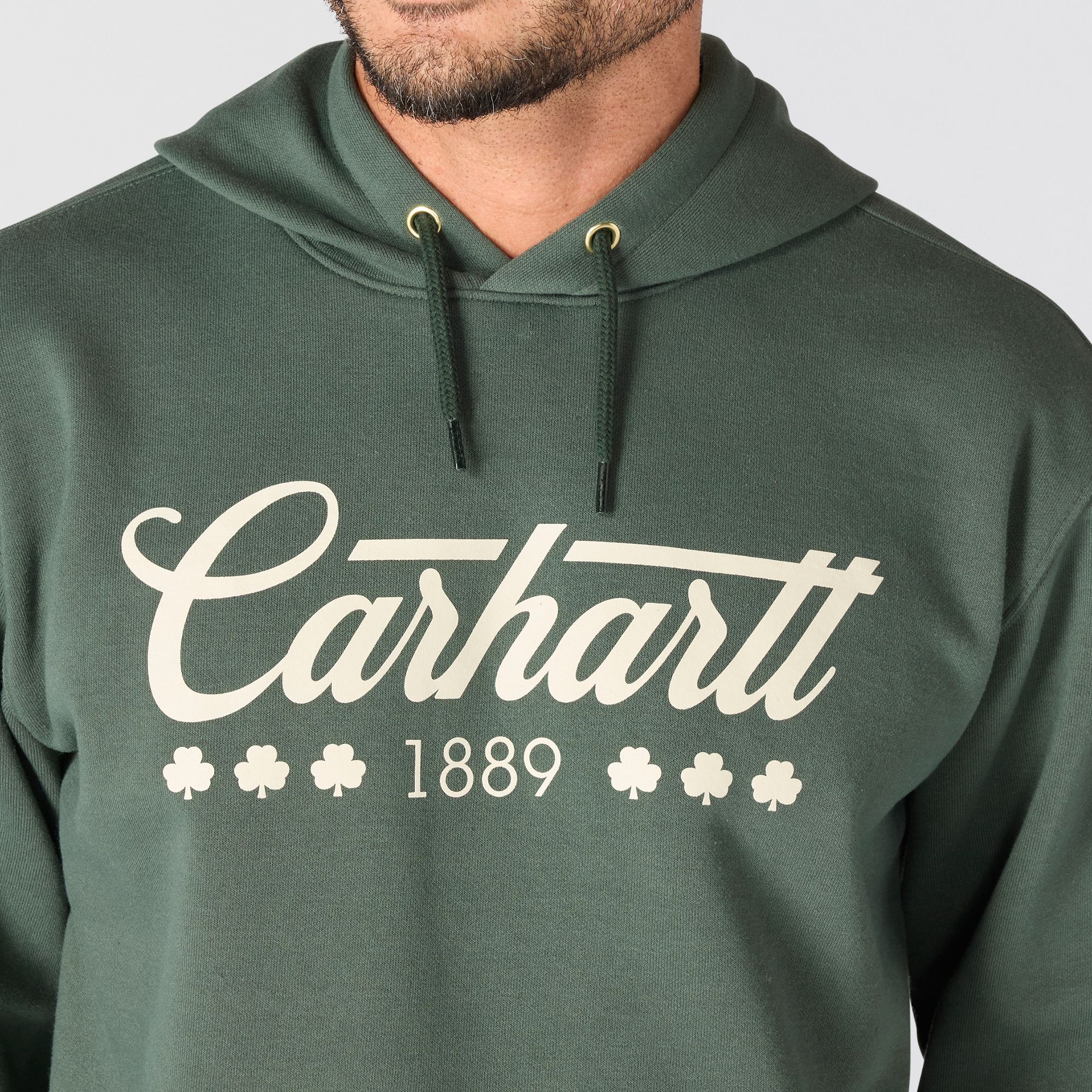 Carhartt Men's St. Patrick's Script Graphic Hoodie product image