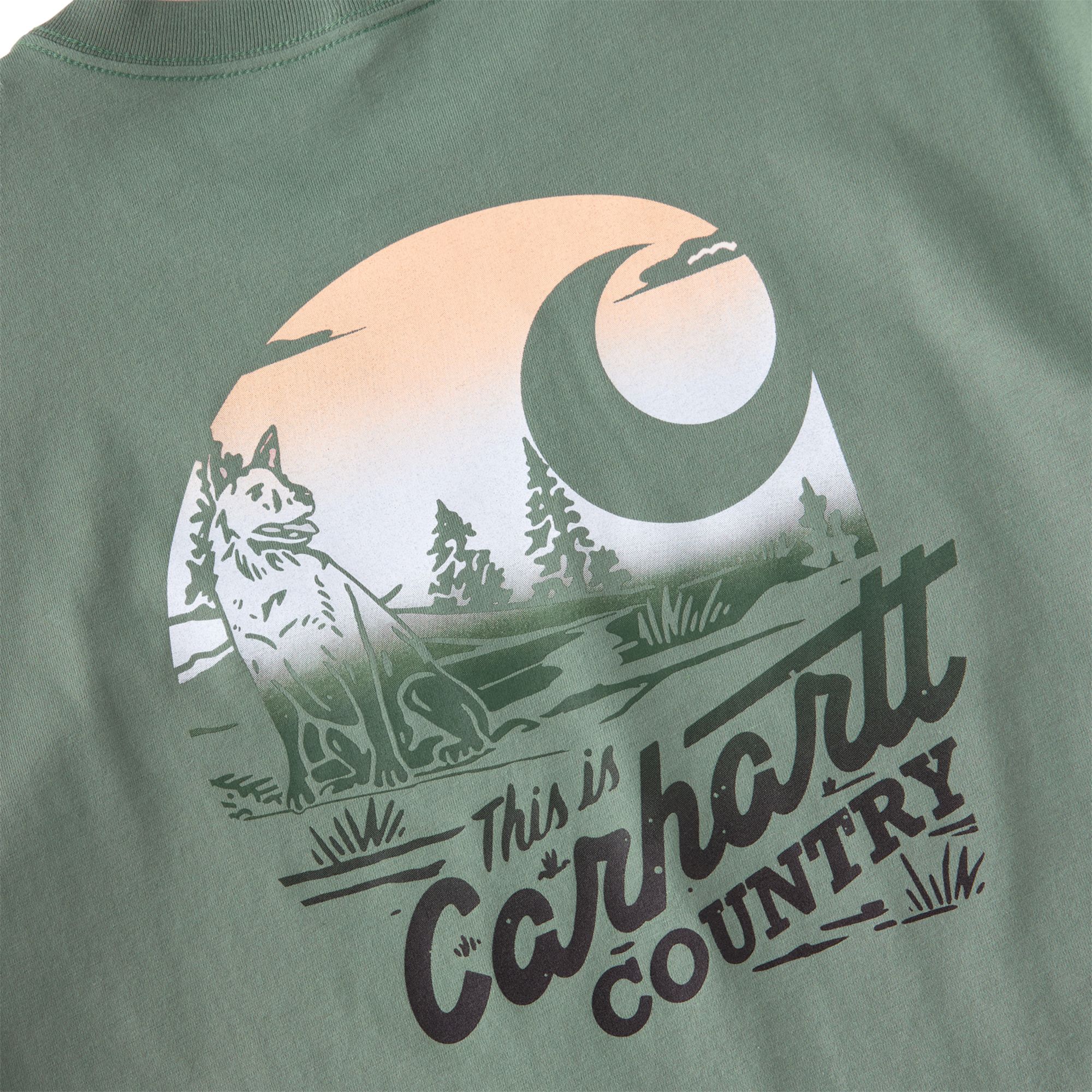 Carhartt Men's Irvine Country Graphic T-Shirt product image