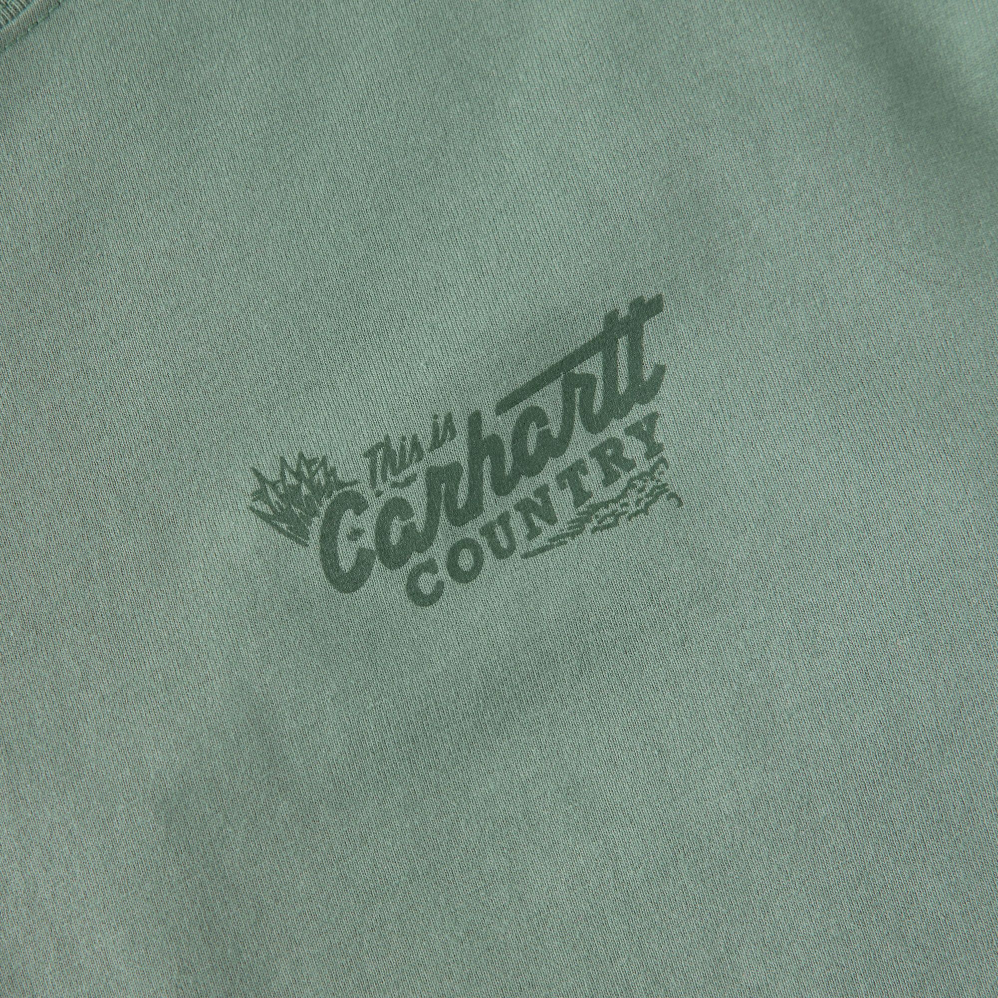 Carhartt Men's Irvine Country Graphic T-Shirt product image