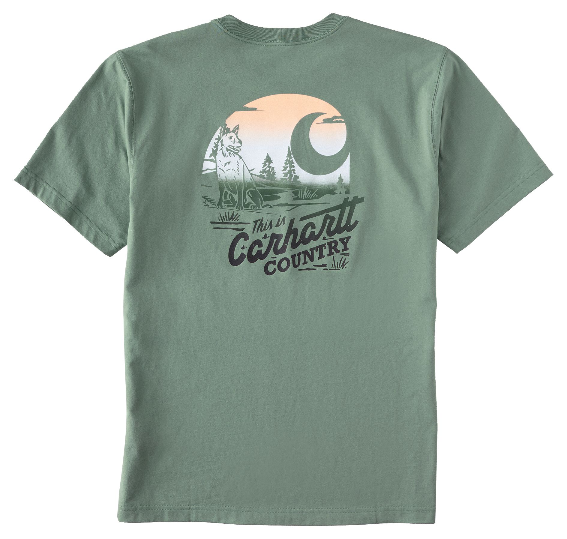 Carhartt Men's Irvine Country Graphic T-Shirt product image