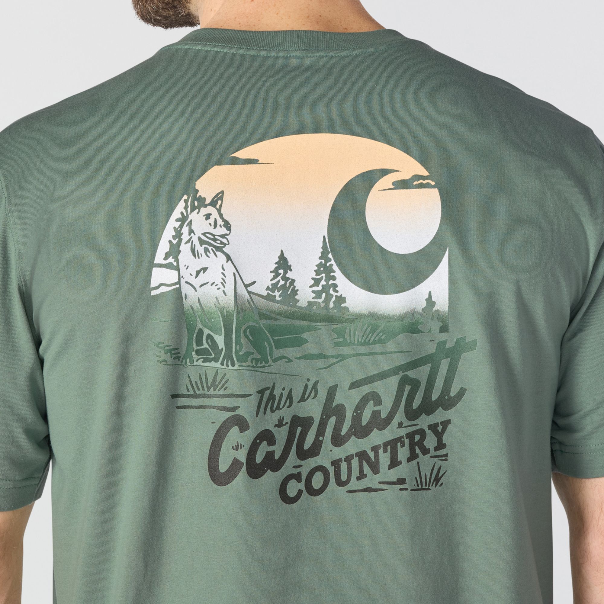 Carhartt Men's Irvine Country Graphic T-Shirt product image