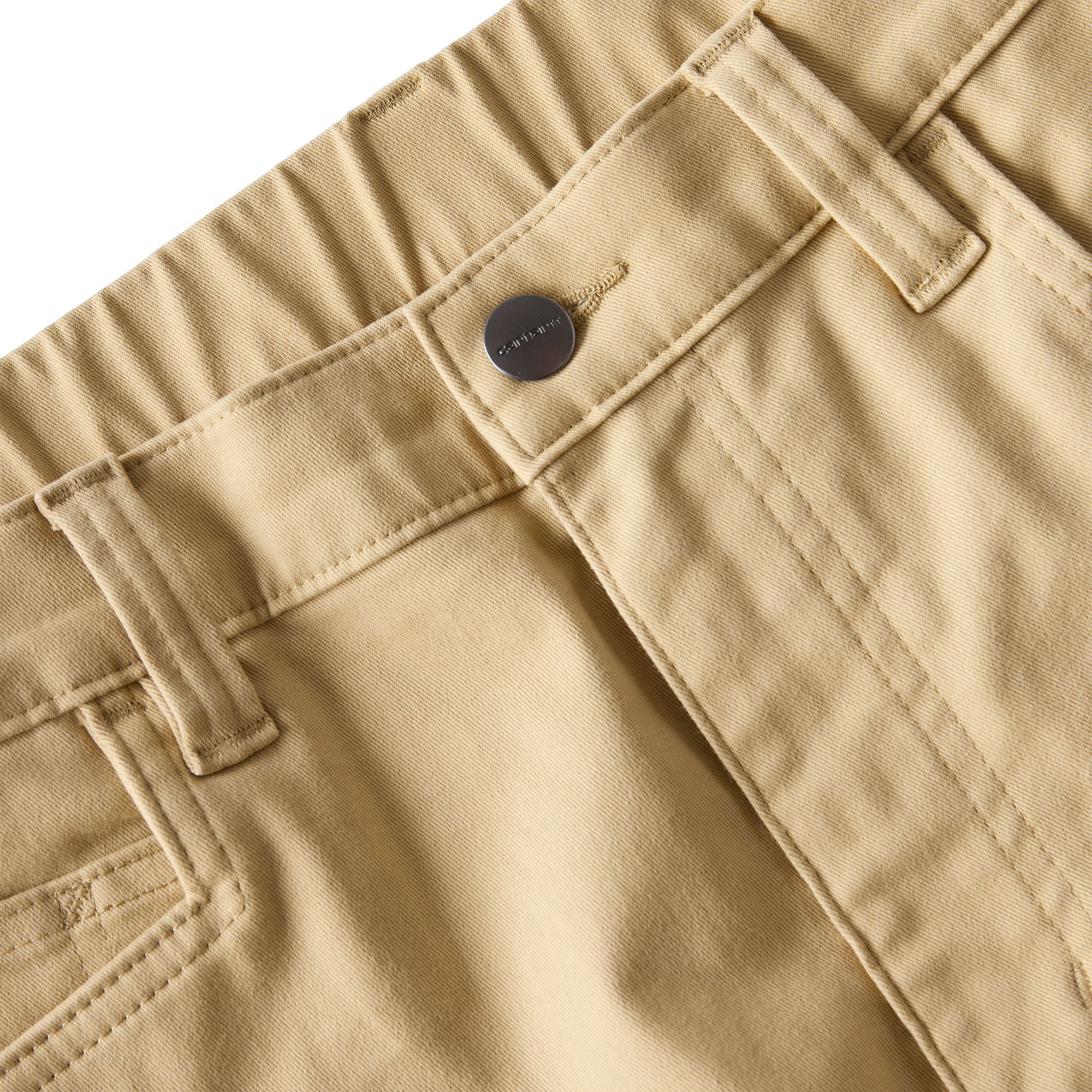 Carhartt Men's Force Huron Pants product image