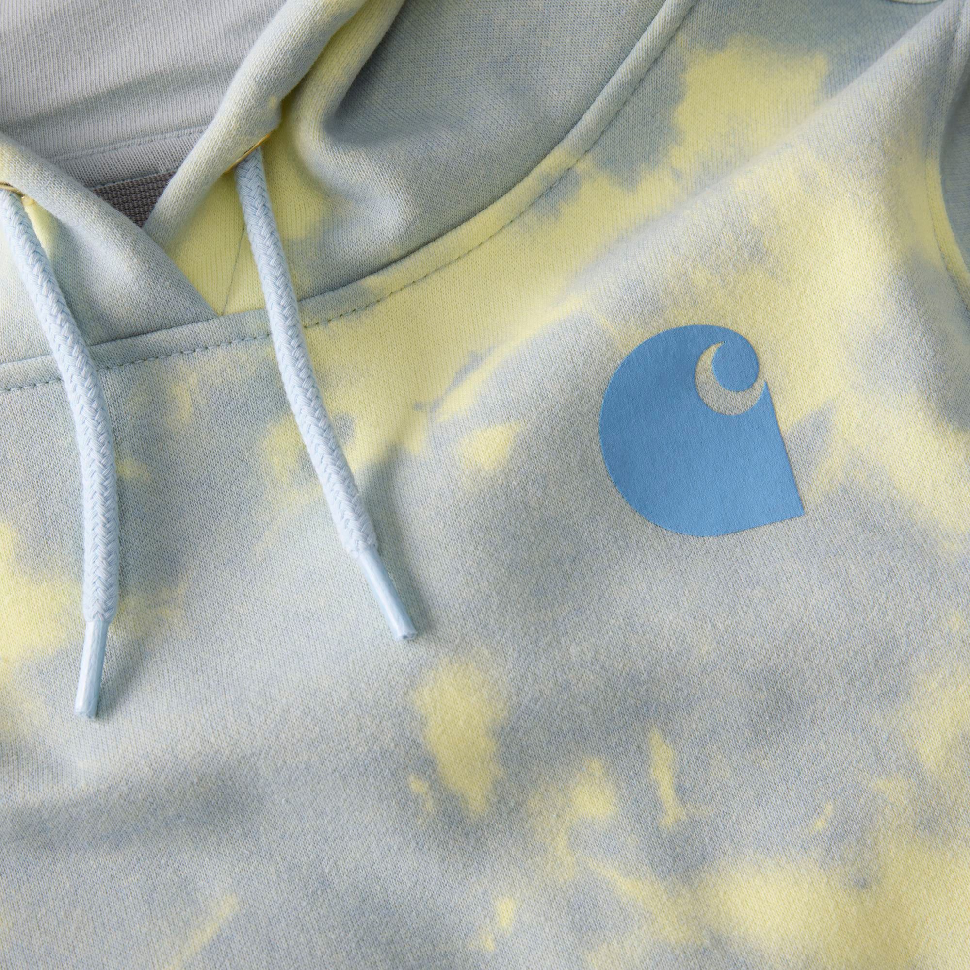 Carhartt Women's Clarksburg Printed Hoodie product image