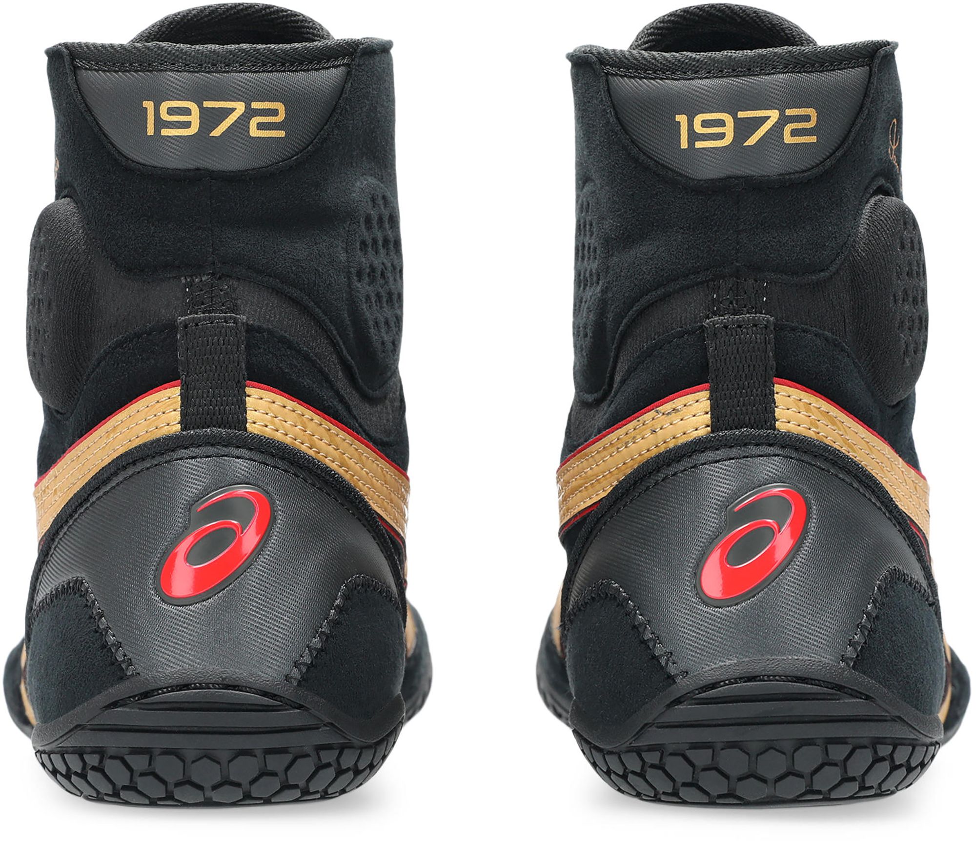 ASICS Dan Gable EVO 3 Wrestling Shoes product image