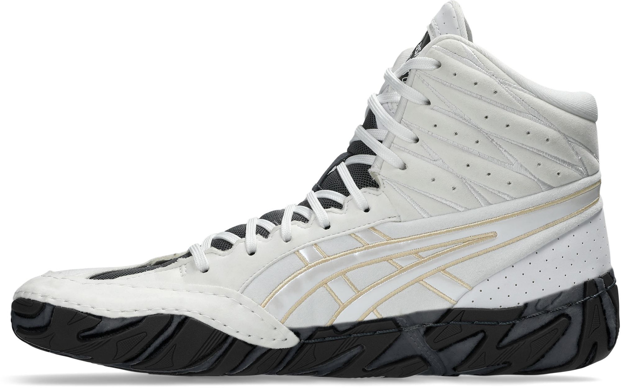 ASICS  Aggressor 6 Wrestling Shoes product image
