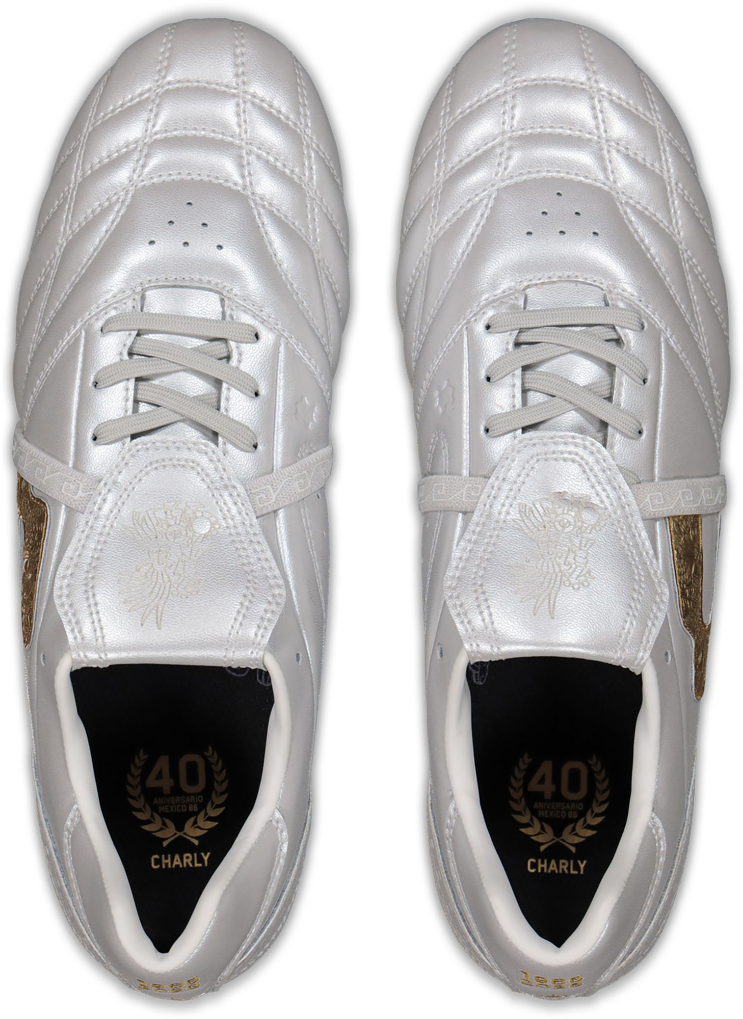 Charly Legendario 26 PFX AG Soccer Cleats product image
