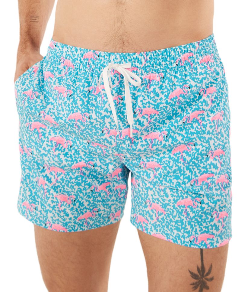 Chubbies Men's Classic 5.5" Swim Trunks product image