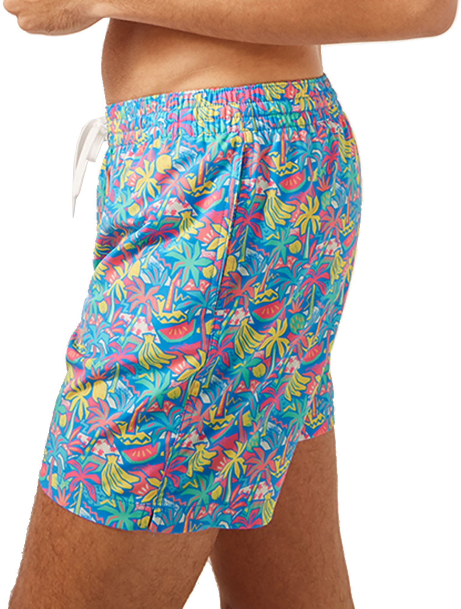 Chubbies Men's Classic 5.5" Swim Trunks product image
