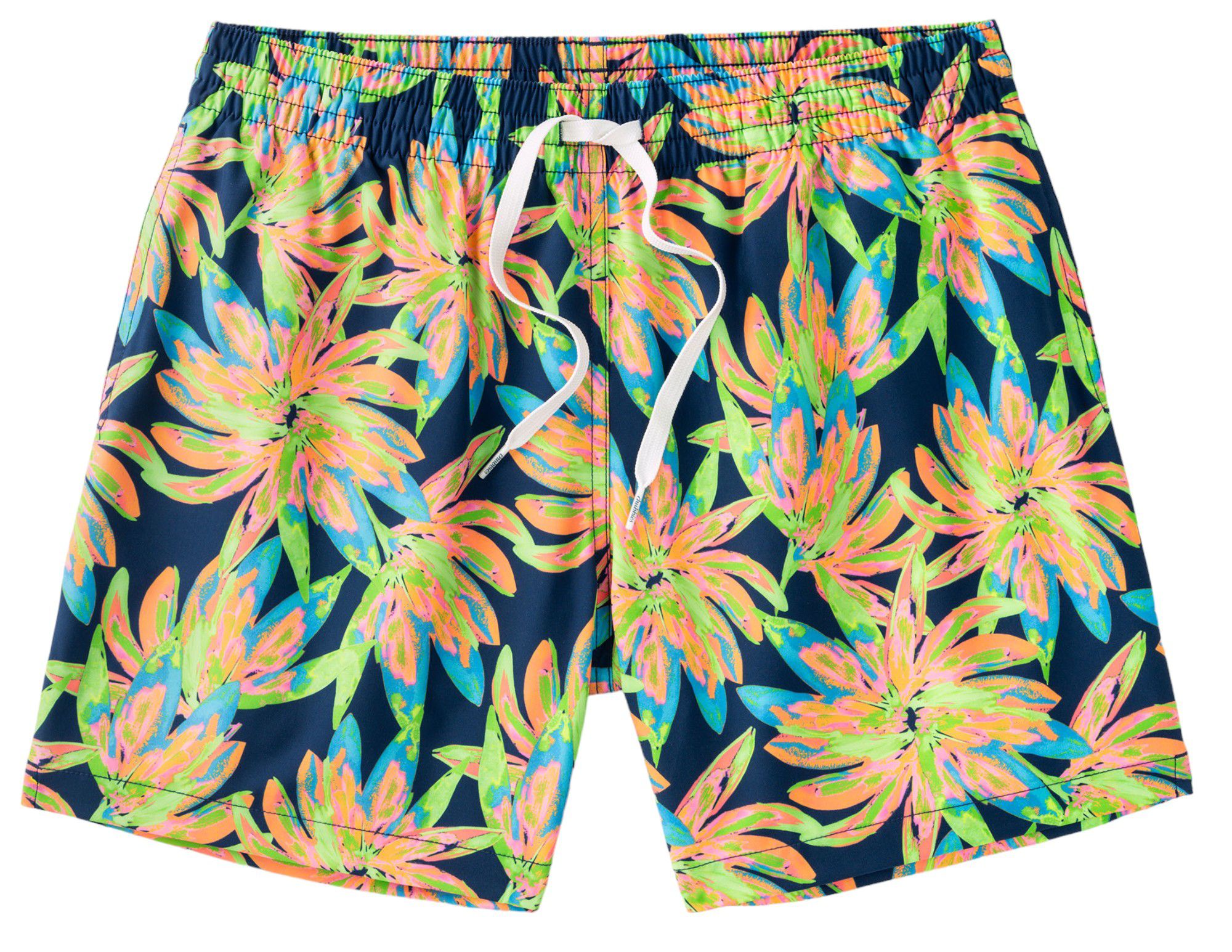 Chubbies Men's Classic 5.5" Swim Trunks product image