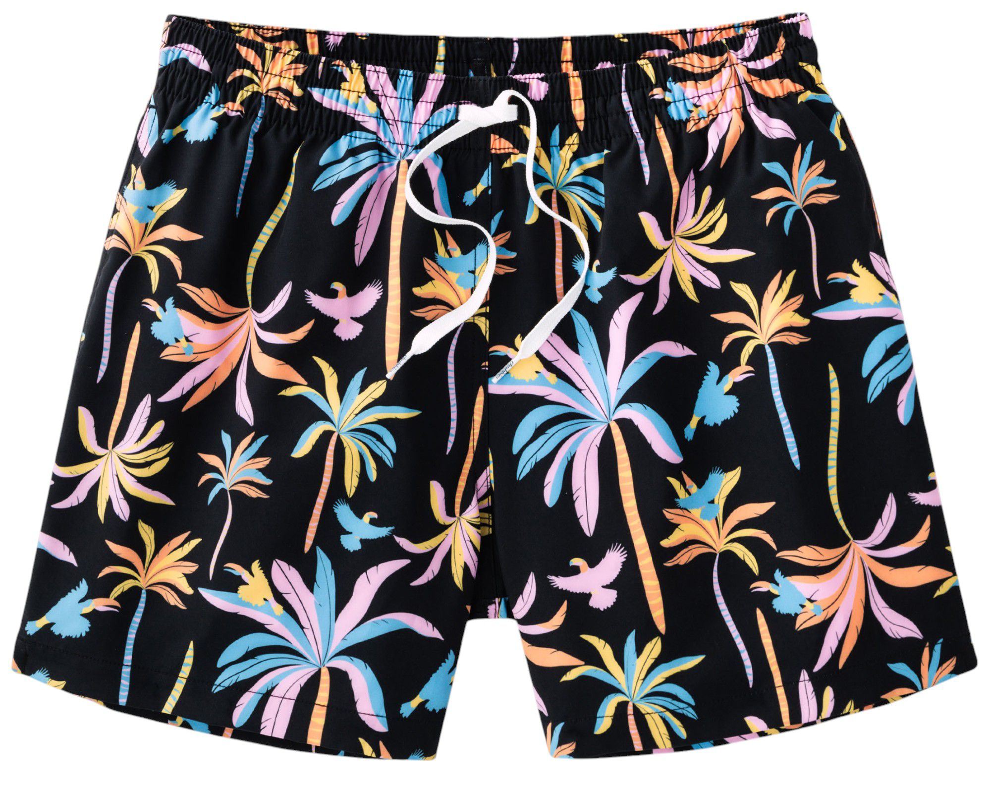 Chubbies Men's Classic 5.5" Swim Trunks product image