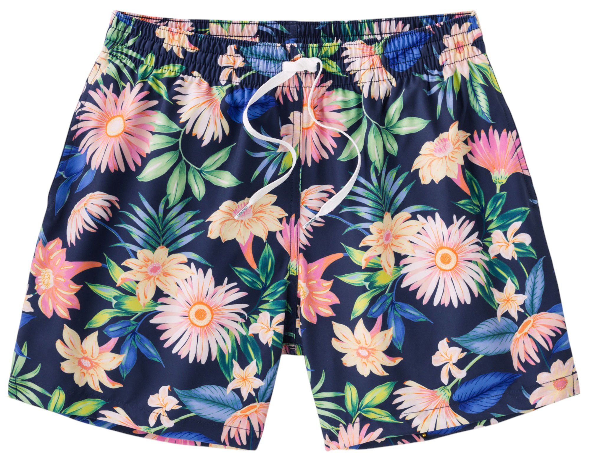 Chubbies Men's Classic 5.5" Swim Trunks product image