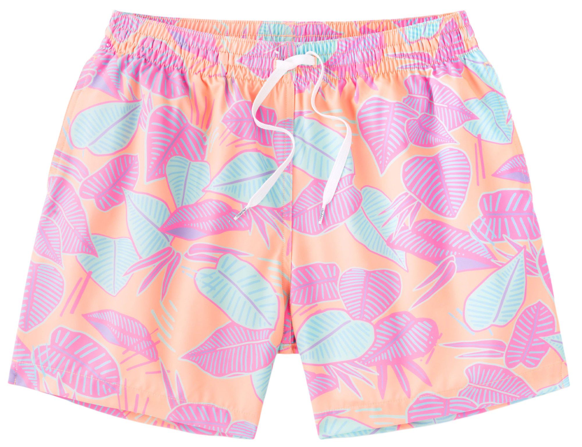 Chubbies Men's Classic 5.5" Swim Trunks product image