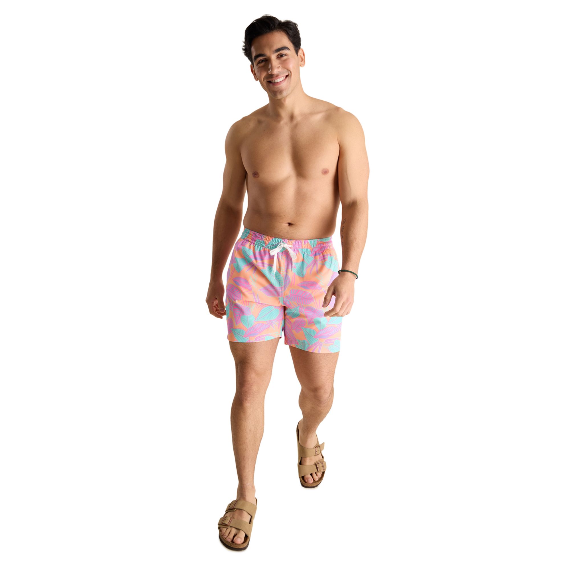 Chubbies Men's Classic 5.5" Swim Trunks product image