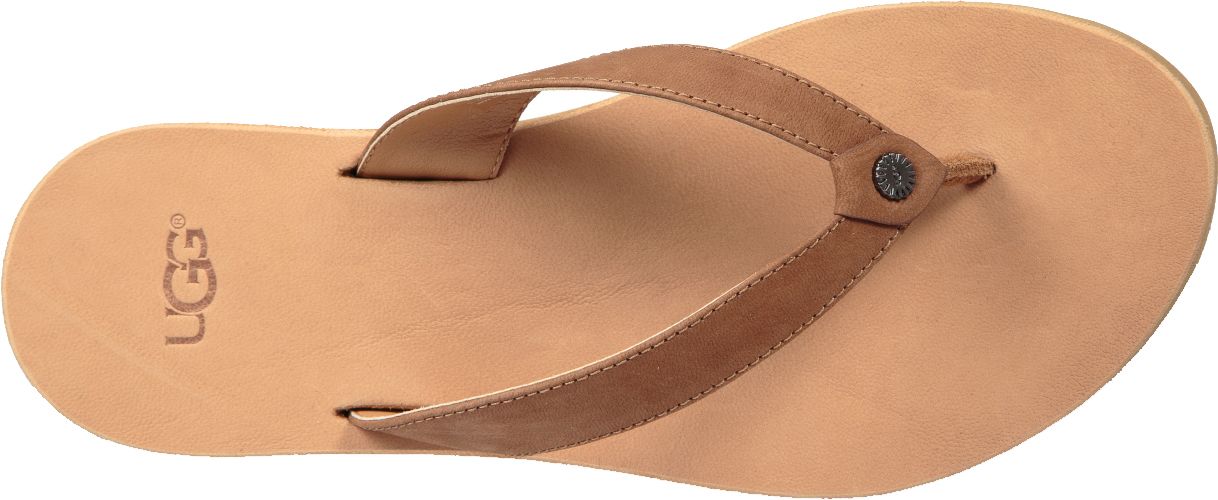 نقع ugg tawney flip flop chestnut 