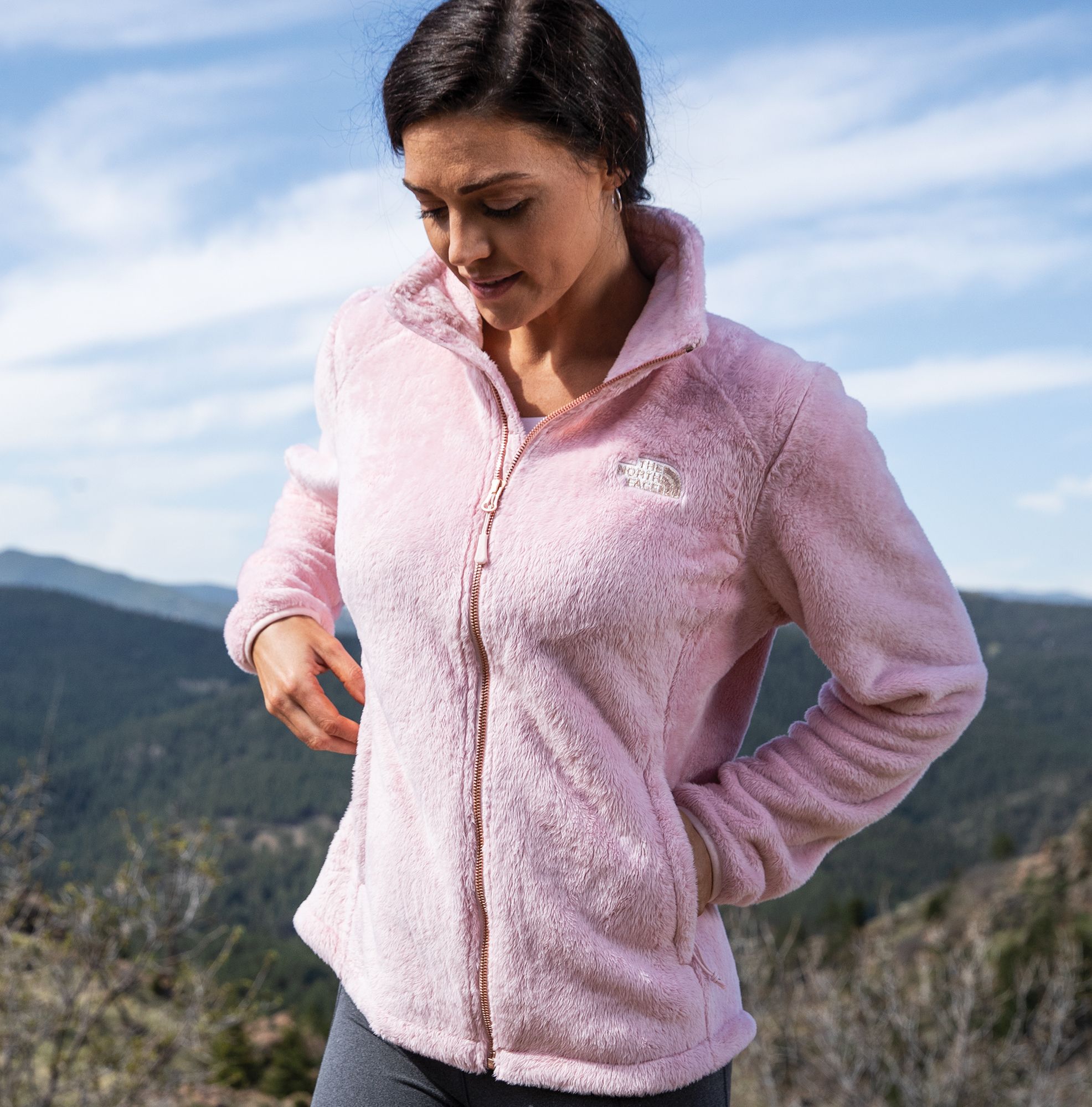 The North Face Women's Osito 2 Fleece Jacket product image