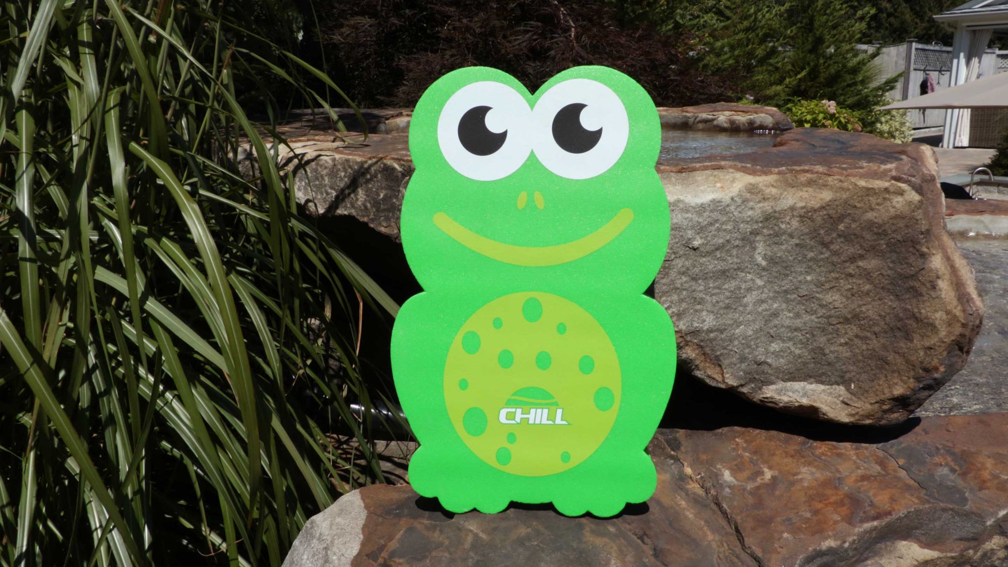 Kiddie Kicks Kickboard product image