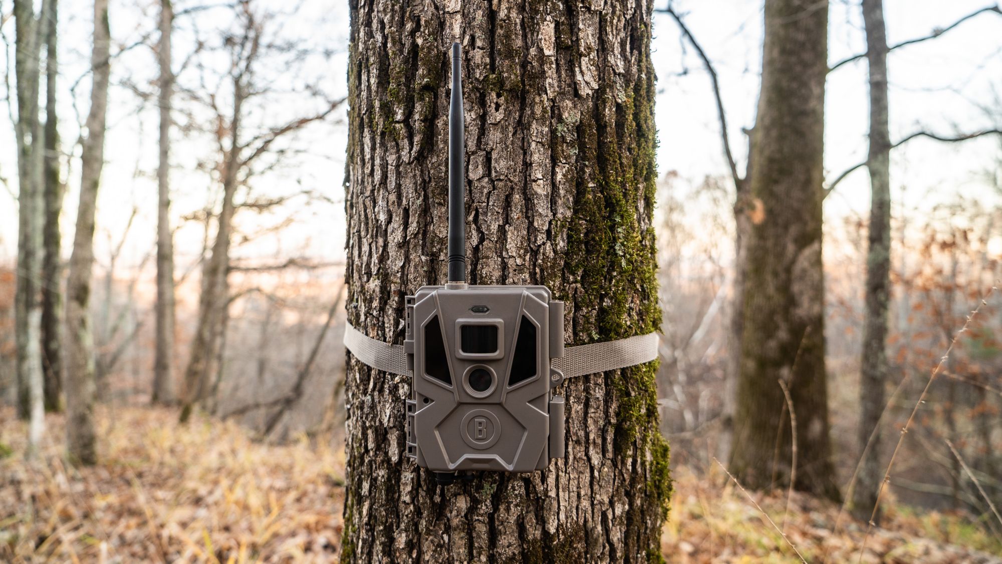 Bushnell Cellucore V20 Cellular Camera – 20 MP product image