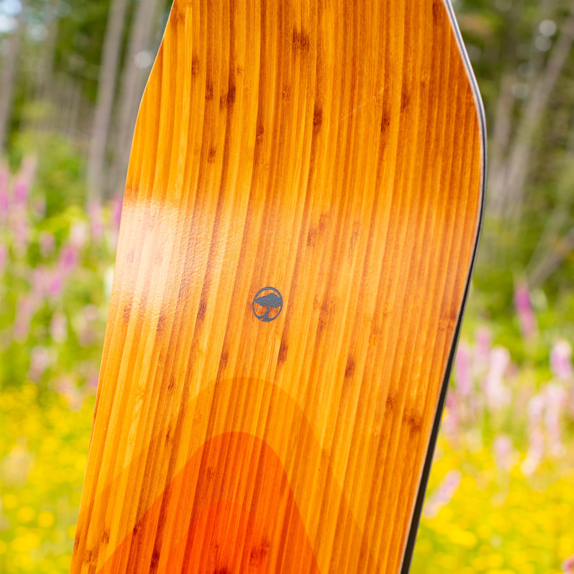 Arbor Shiloh Camber Snowboard 2024 product image