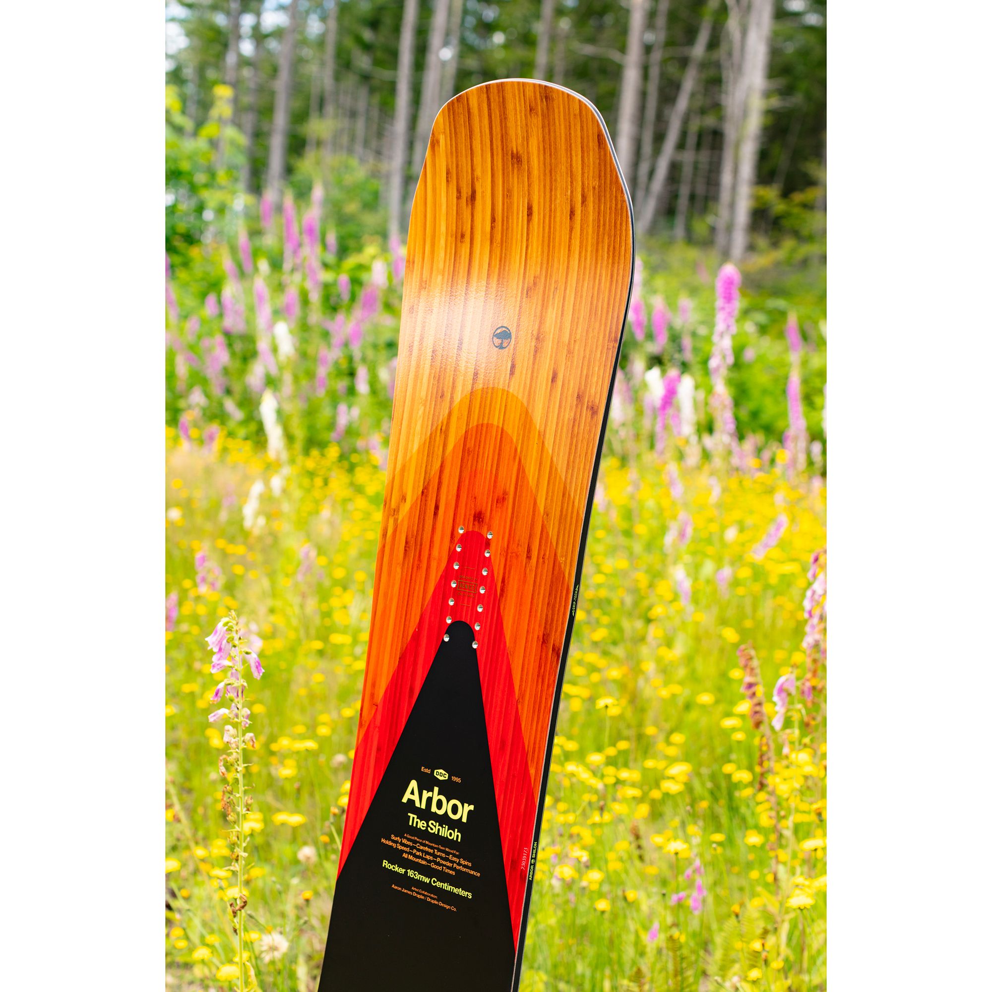 Arbor Shiloh Camber Snowboard 2024 product image