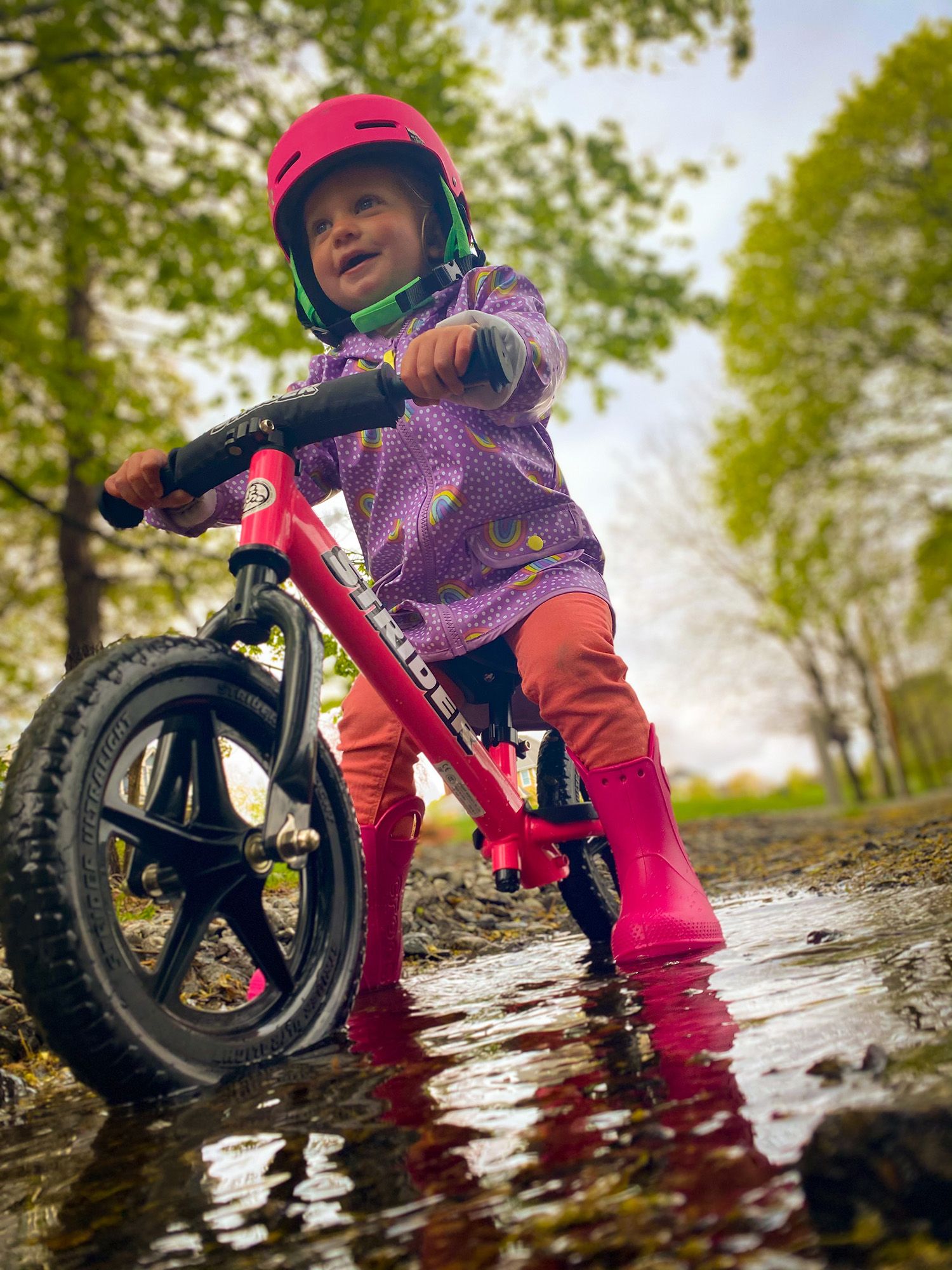 STRIDER Sport No-Pedal Balance 12" Bike product image