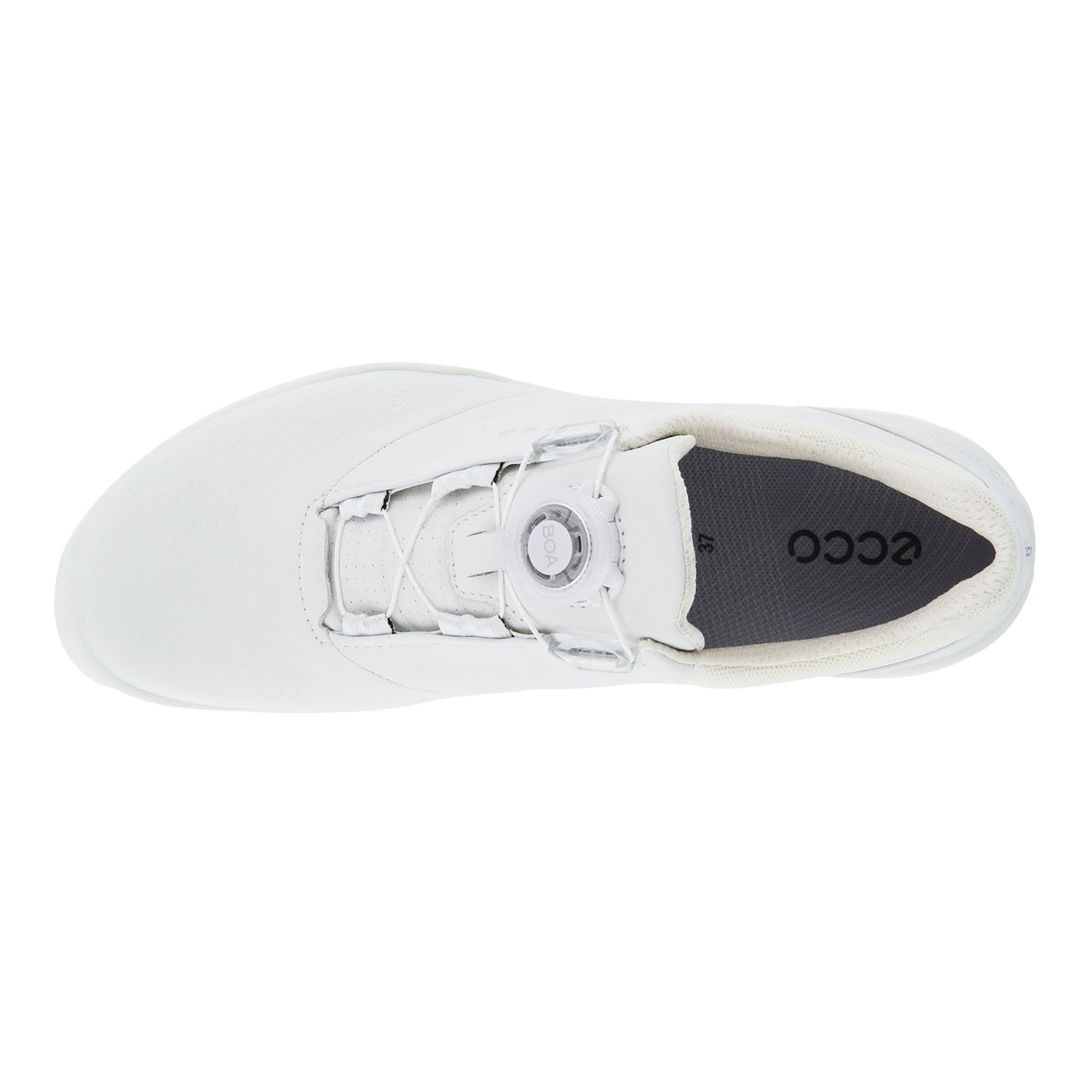 ECCO Women's BIOM Hybrid 3 Golf Shoes | Dick's Sporting Goods